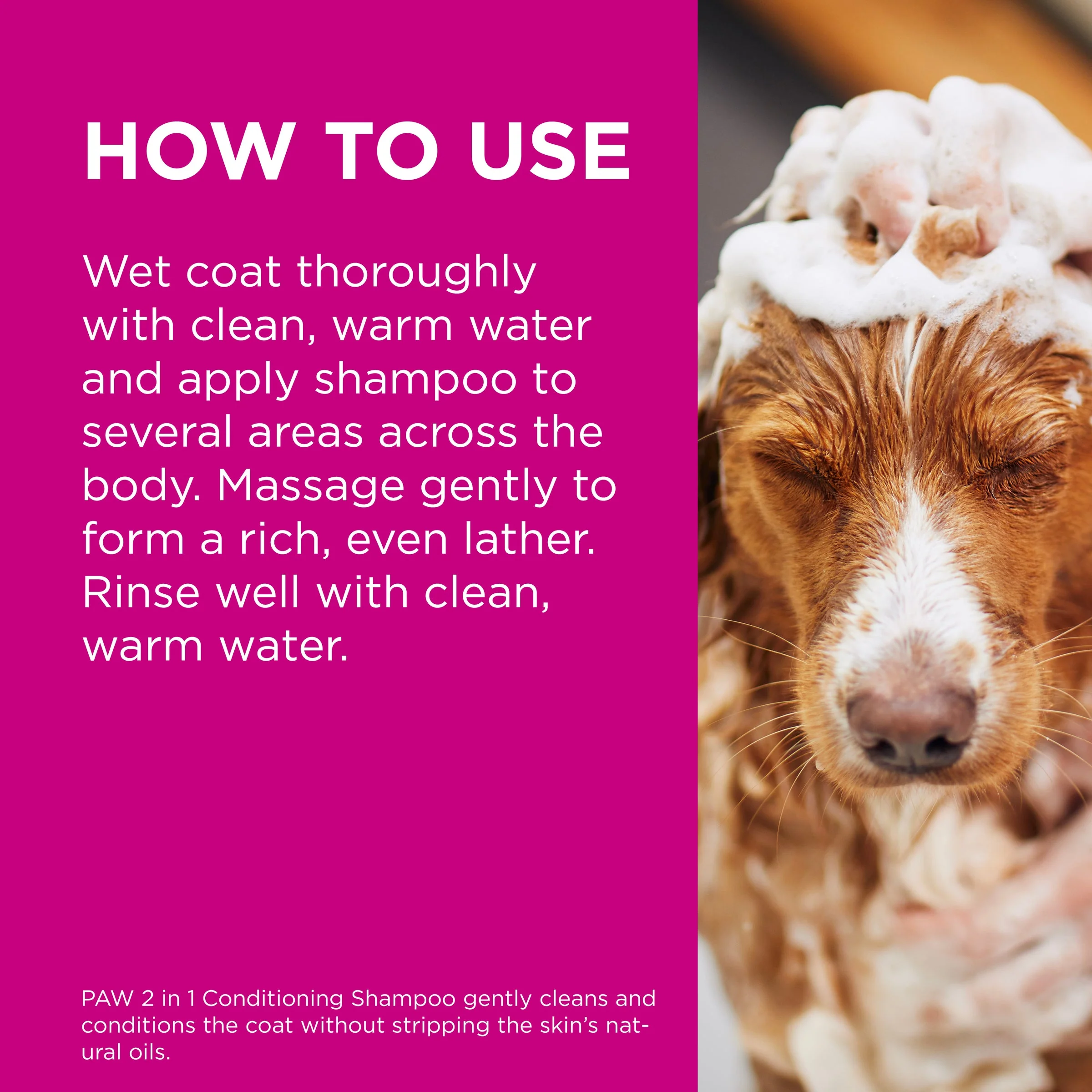 PAW by Blackmores 2-in-1 Conditioning Shampoo for Dogs 500ml - Image 6
