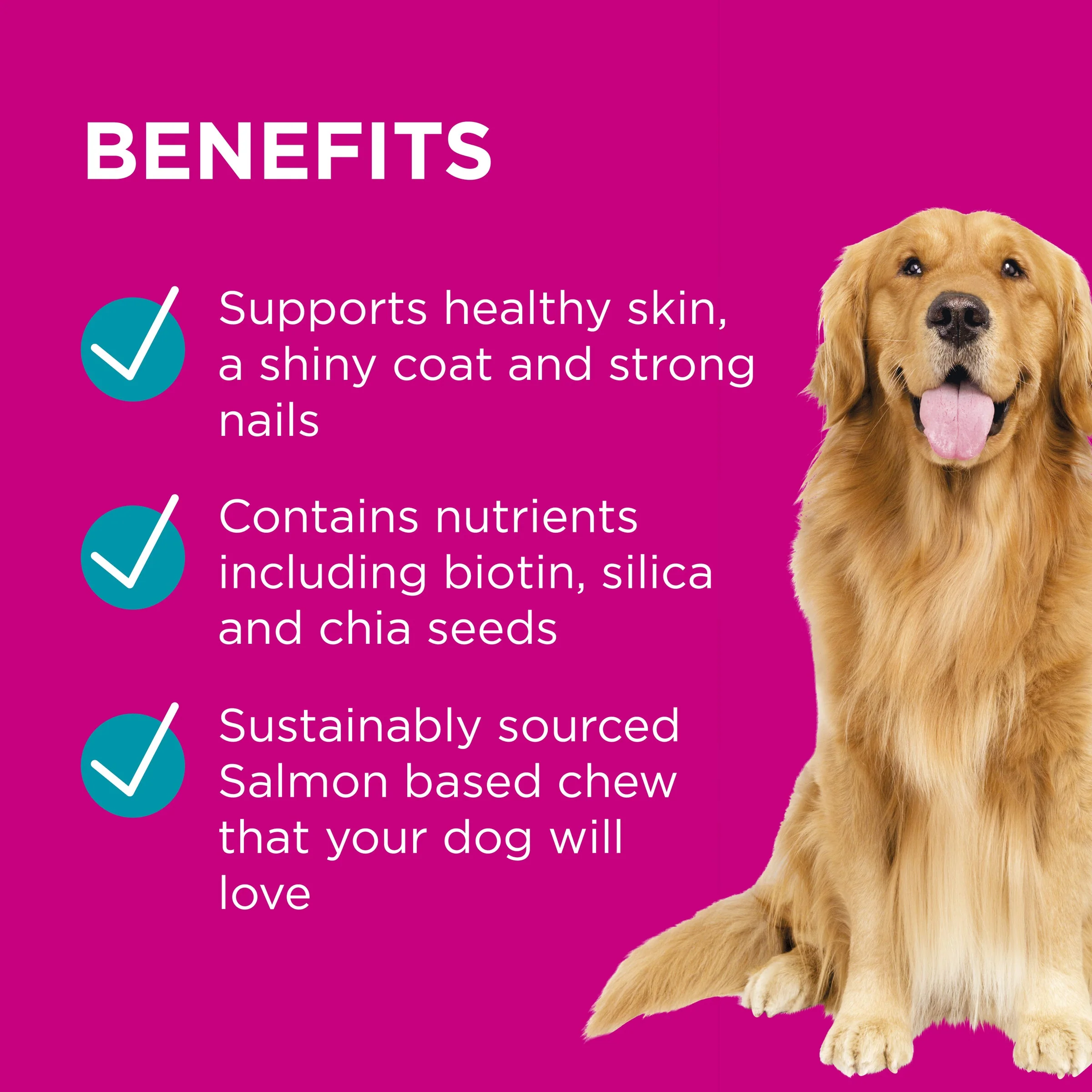 PAW by Blackmores Coat, Skin and Nails Chews for Dogs 300g - Image 5
