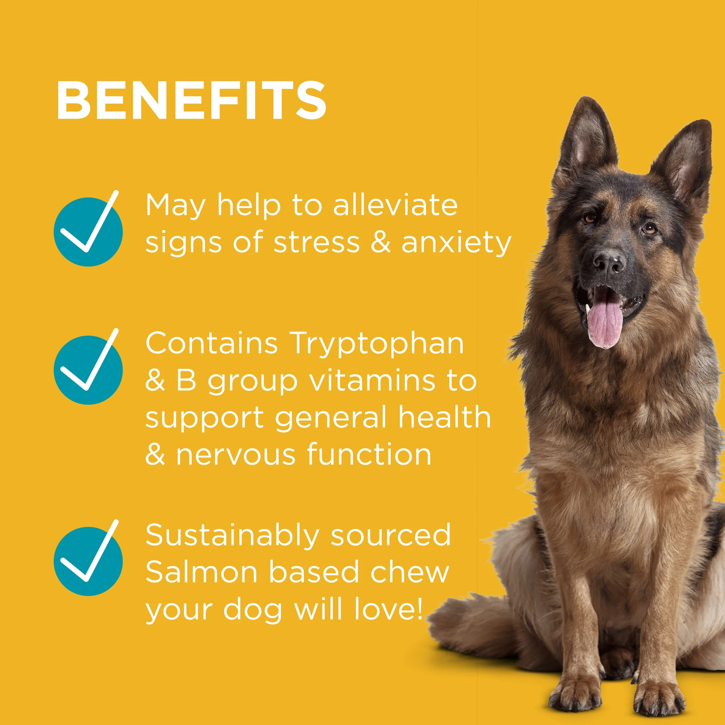 PAW by Blackmores Complete Calm Chews for Dogs 300g - Image 5