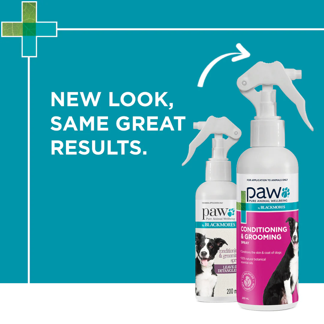 PAW by Blackmores Conditioning and Grooming Spray for Dogs 200ml - Image 4