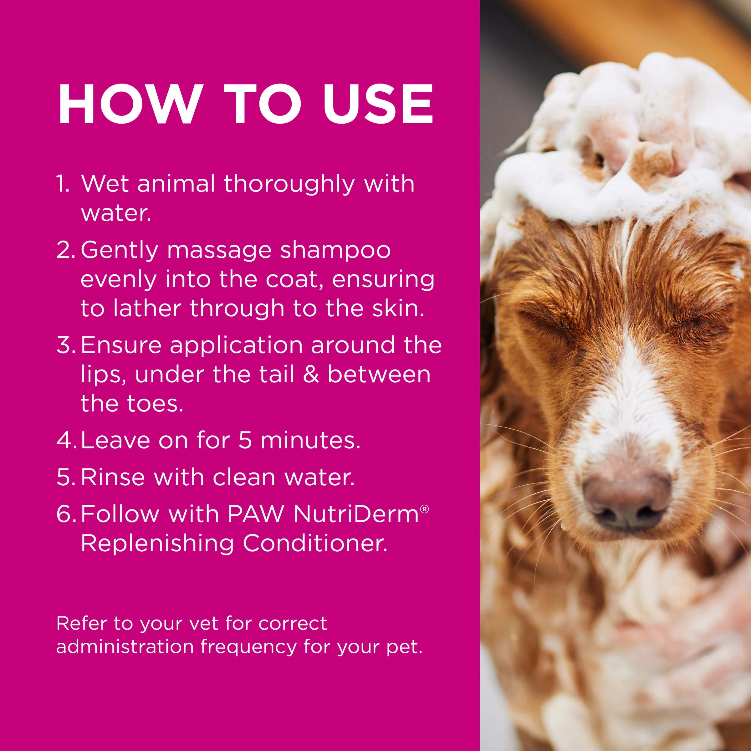 PAW by Blackmores MediDerm Gentle Medicated Shampoo for Dogs 500ml - Image 3