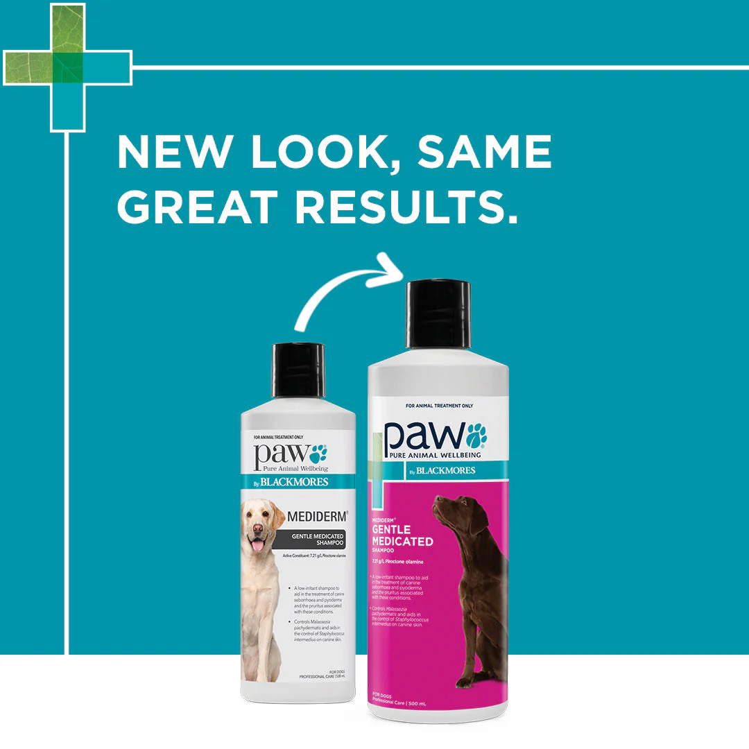 PAW by Blackmores MediDerm Gentle Medicated Shampoo for Dogs 500ml - Image 5