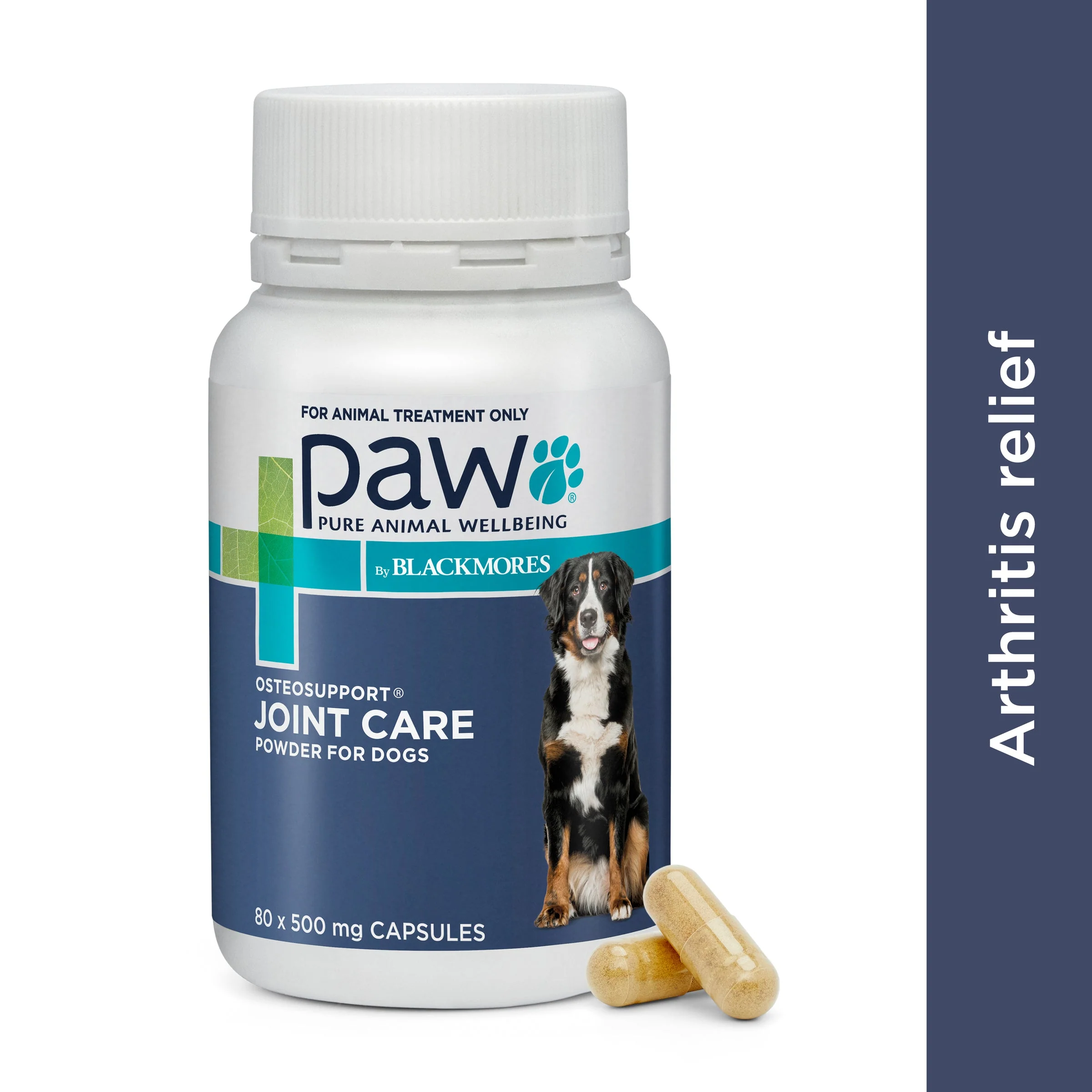 PAW by Blackmores Osteosupport Joint Care Powder Capsules for Dogs 80 Pack - Image 11