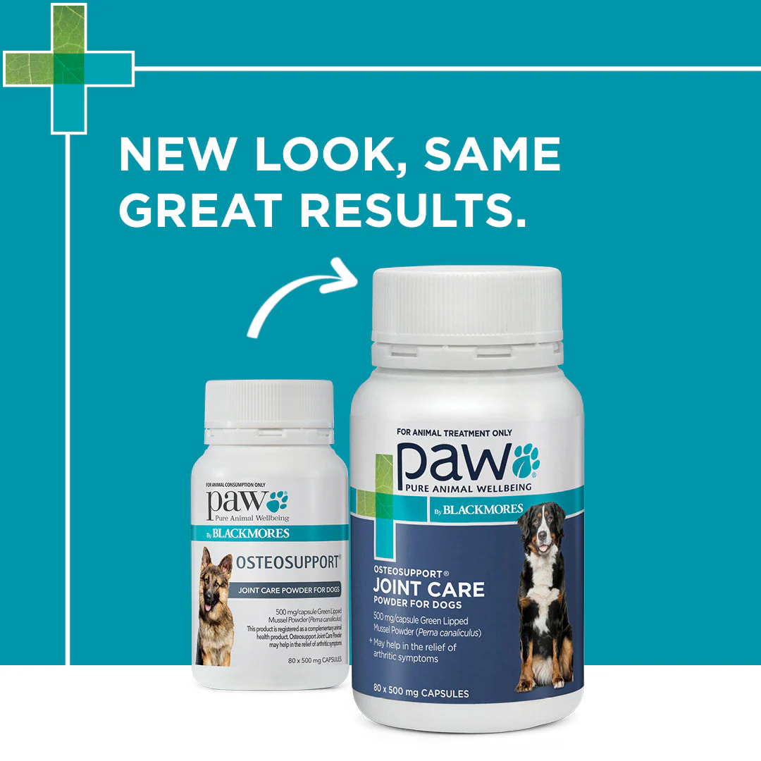 PAW by Blackmores Osteosupport Joint Care Powder Capsules for Dogs 80 Pack - Image 5