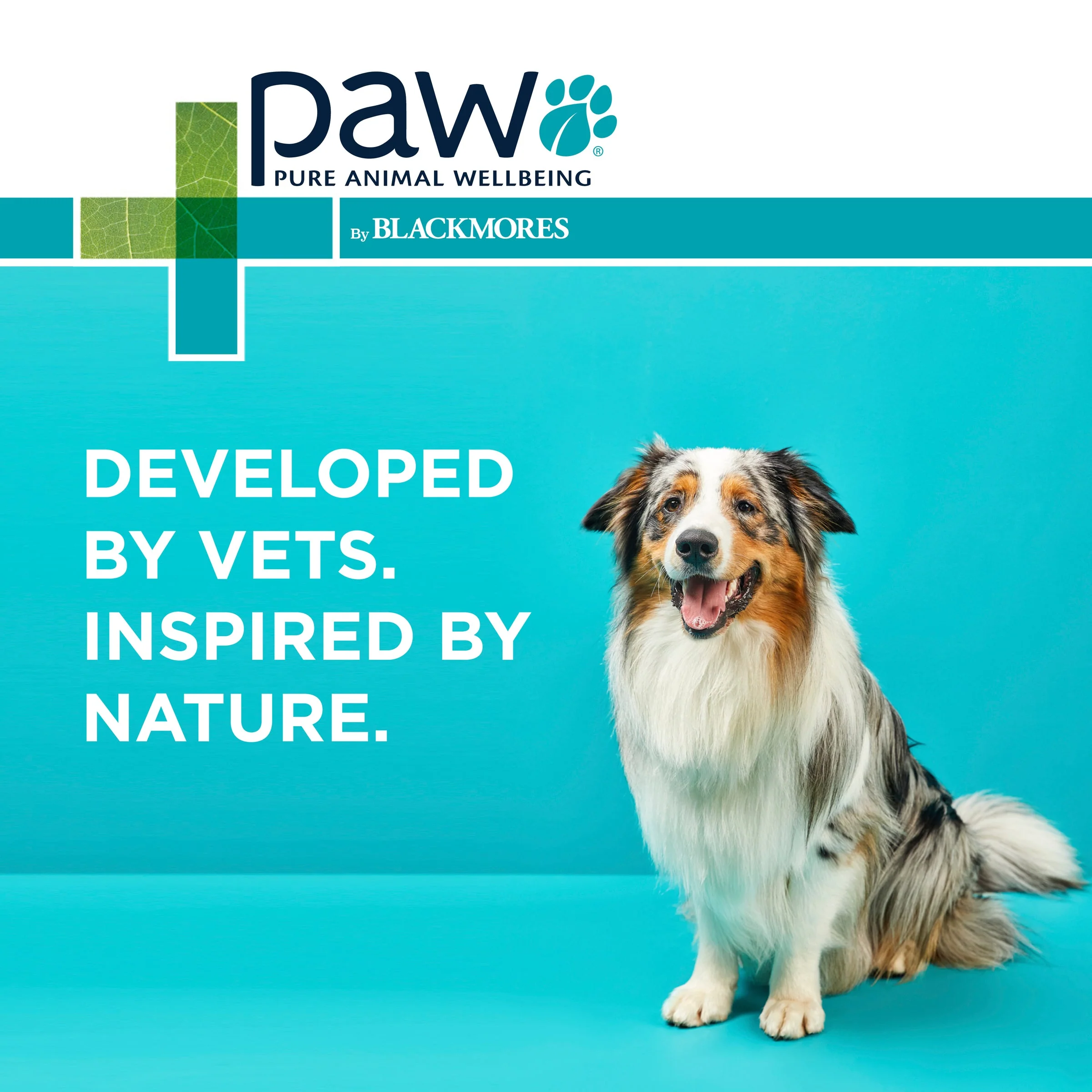 PAW by Blackmores Osteosupport Joint Care Powder Capsules for Dogs 150 Pack - Image 10