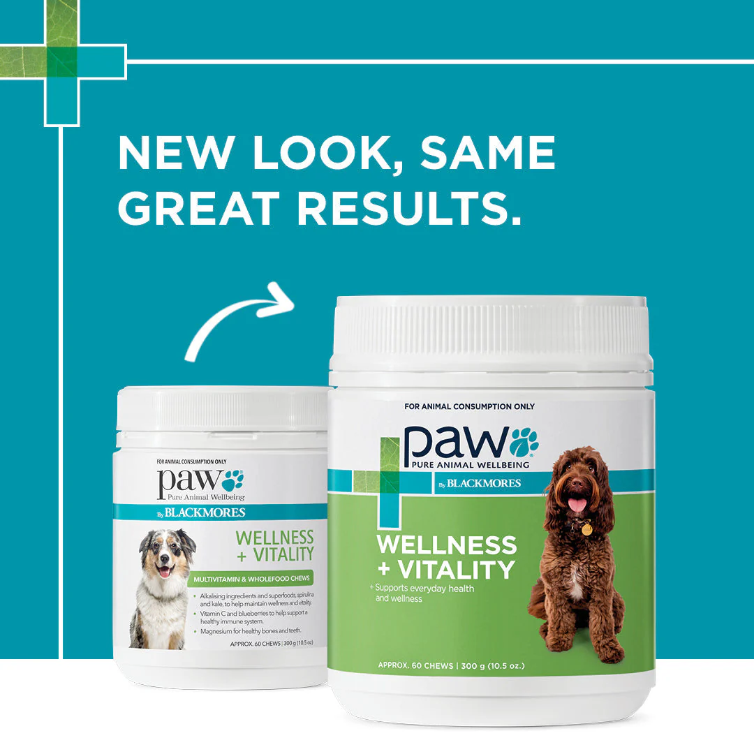 PAW by Blackmores Wellness and Vitality Chews for Dogs 300g - Image 4