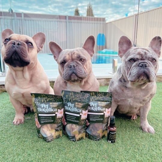 Pet Botanica Mackerel Dog and Cat Treats 80g - Image 3