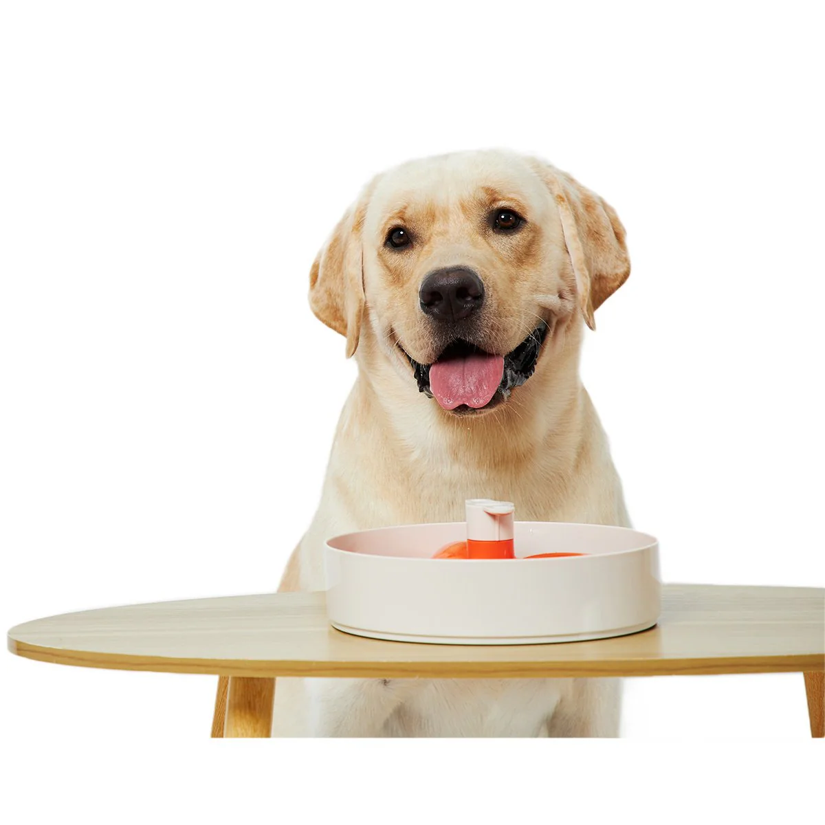 Pet DreamHouse Spin Interactive Slow Feeder for Dogs Bougainvillea*** - Image 9