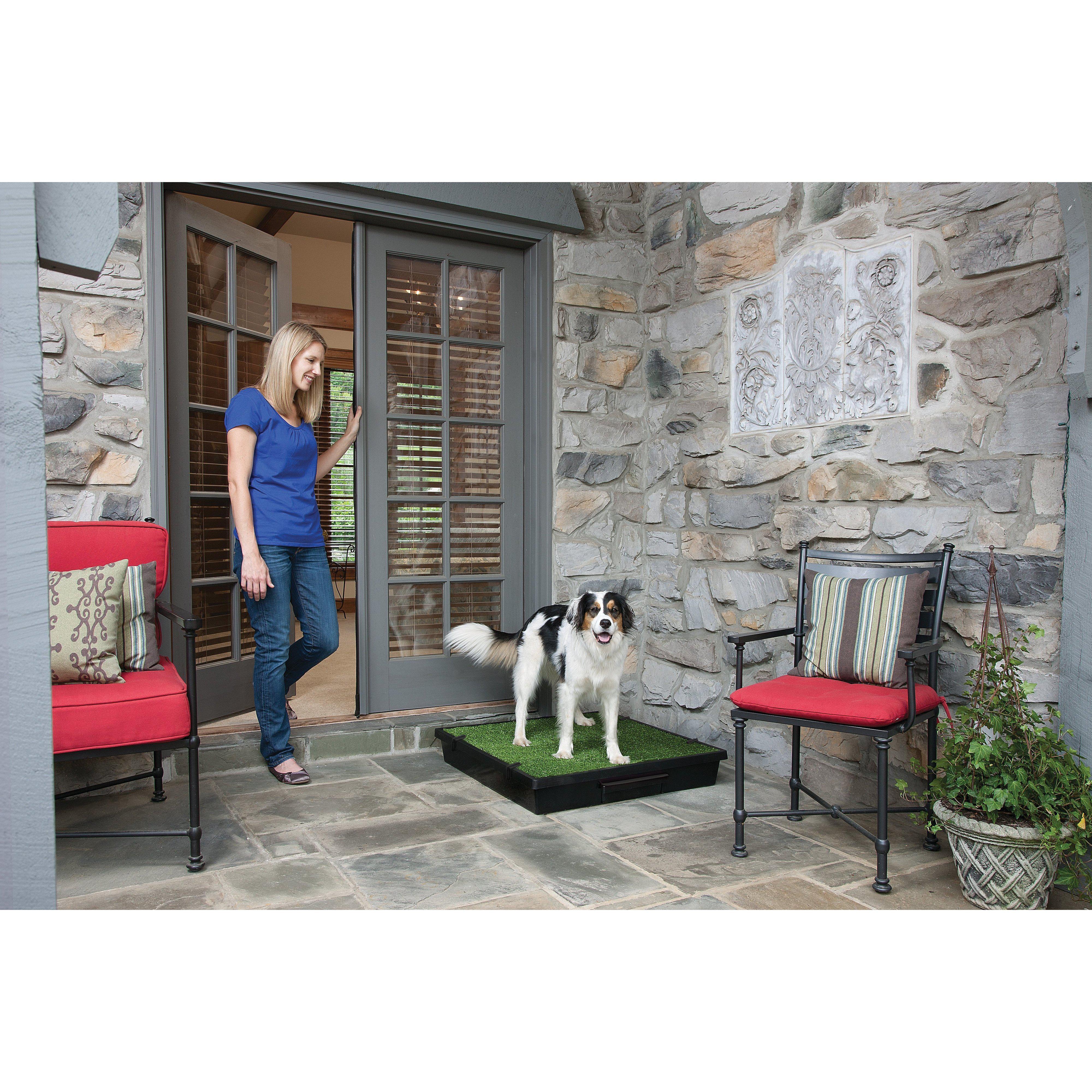 PetSafe The Pet Loo Large Portable Toilet for Dogs - Image 8