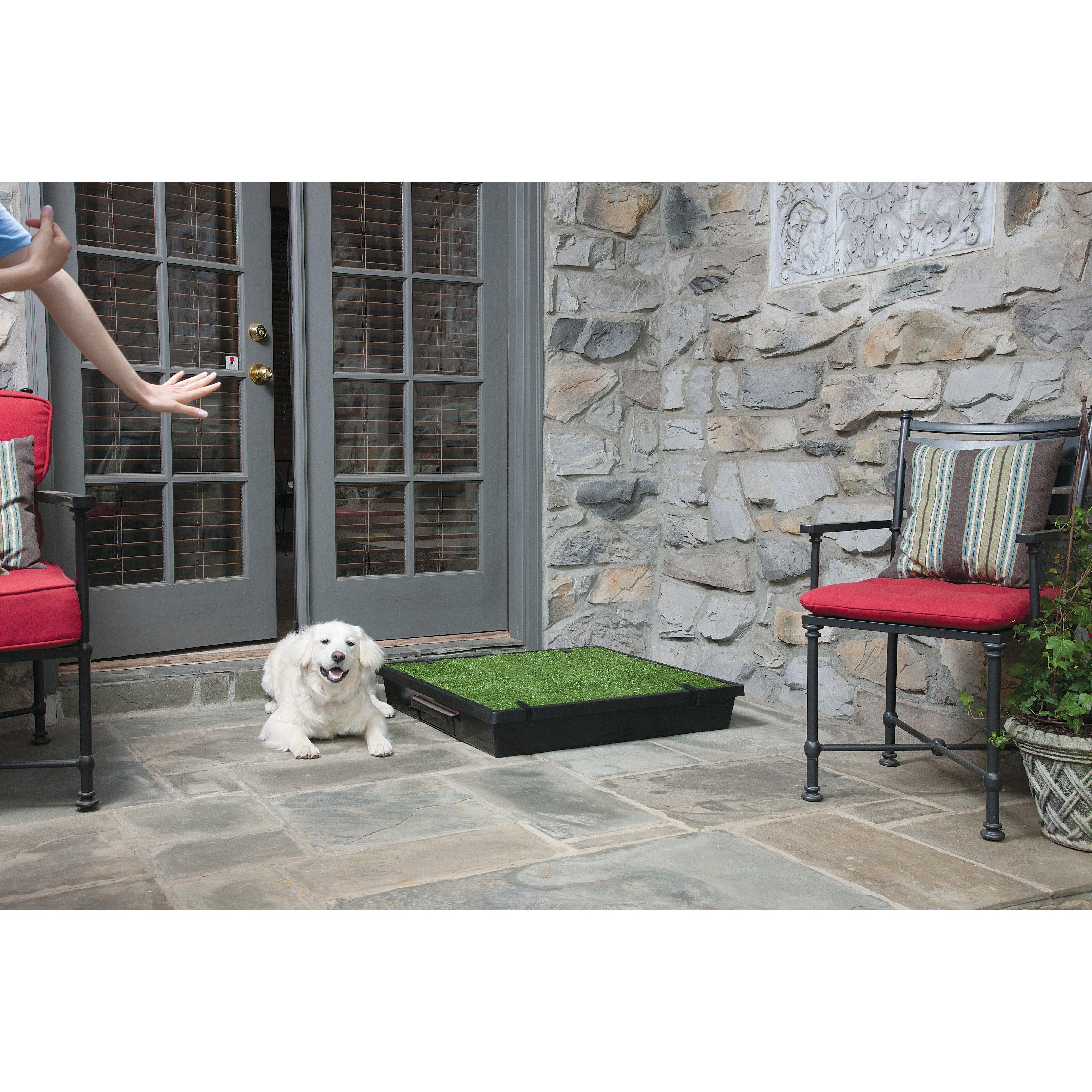 PetSafe The Pet Loo Large Portable Toilet for Dogs - Image 9