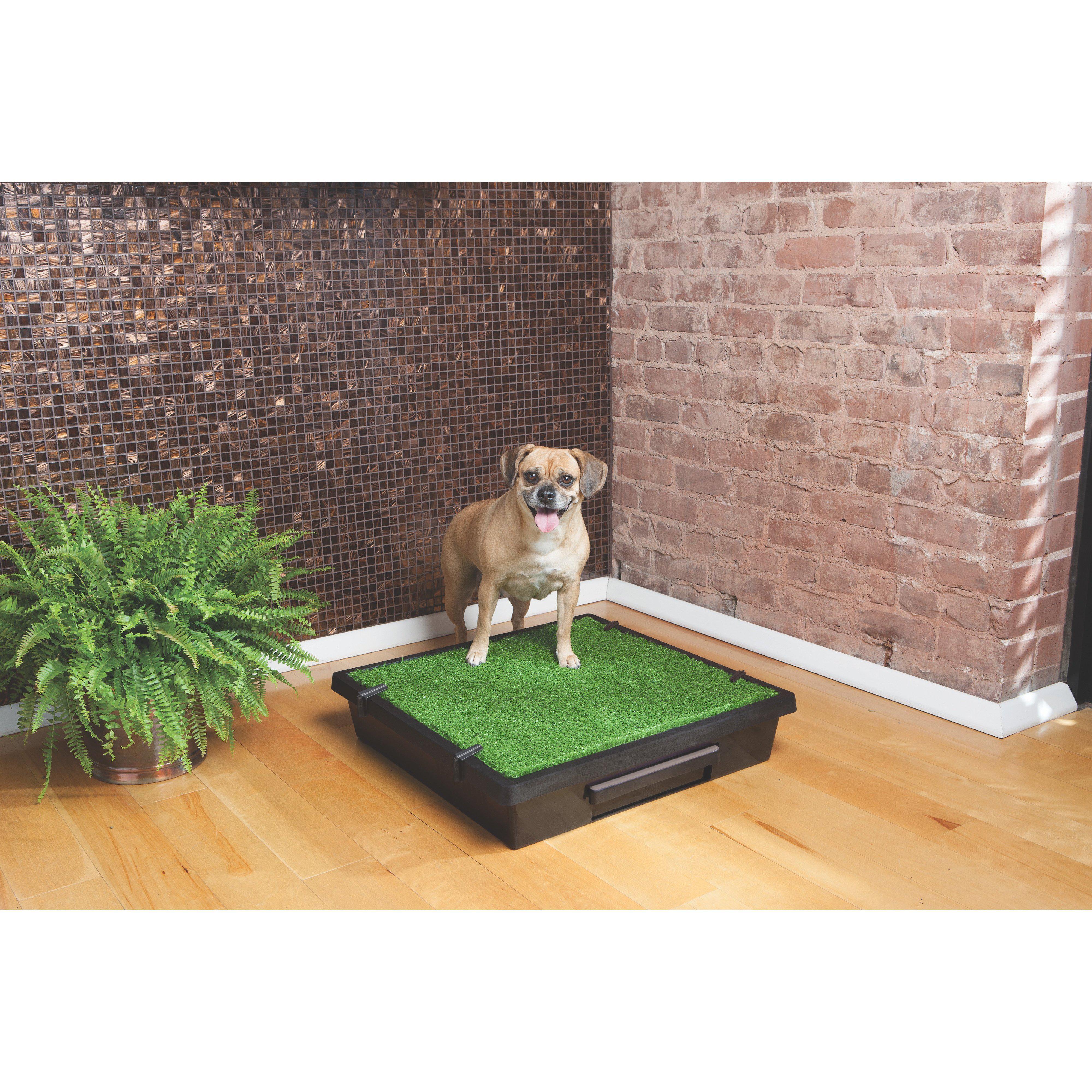 PetSafe The Pet Loo Medium Portable Toilet for Dogs - Image 8