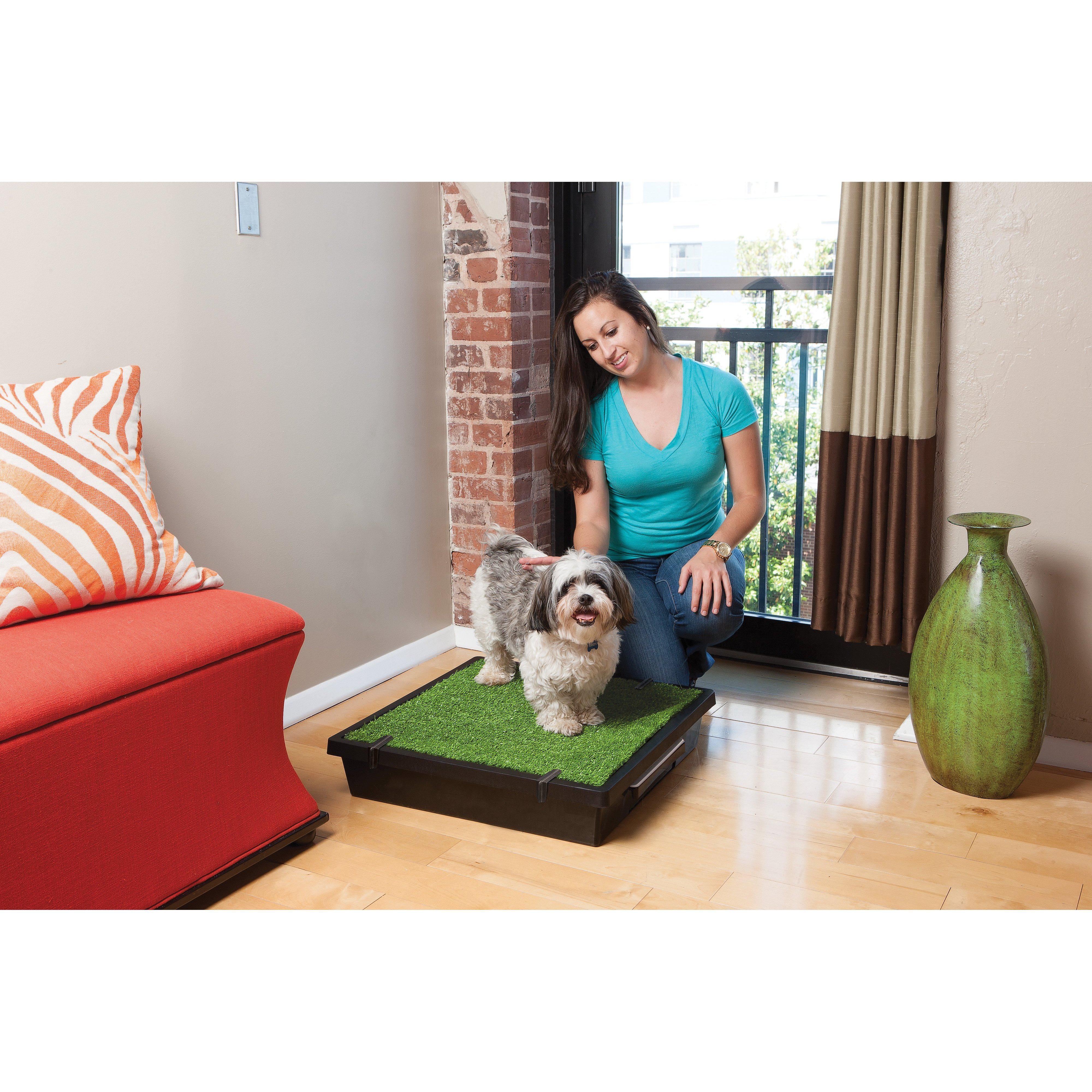 PetSafe The Pet Loo Medium Portable Toilet for Dogs - Image 9