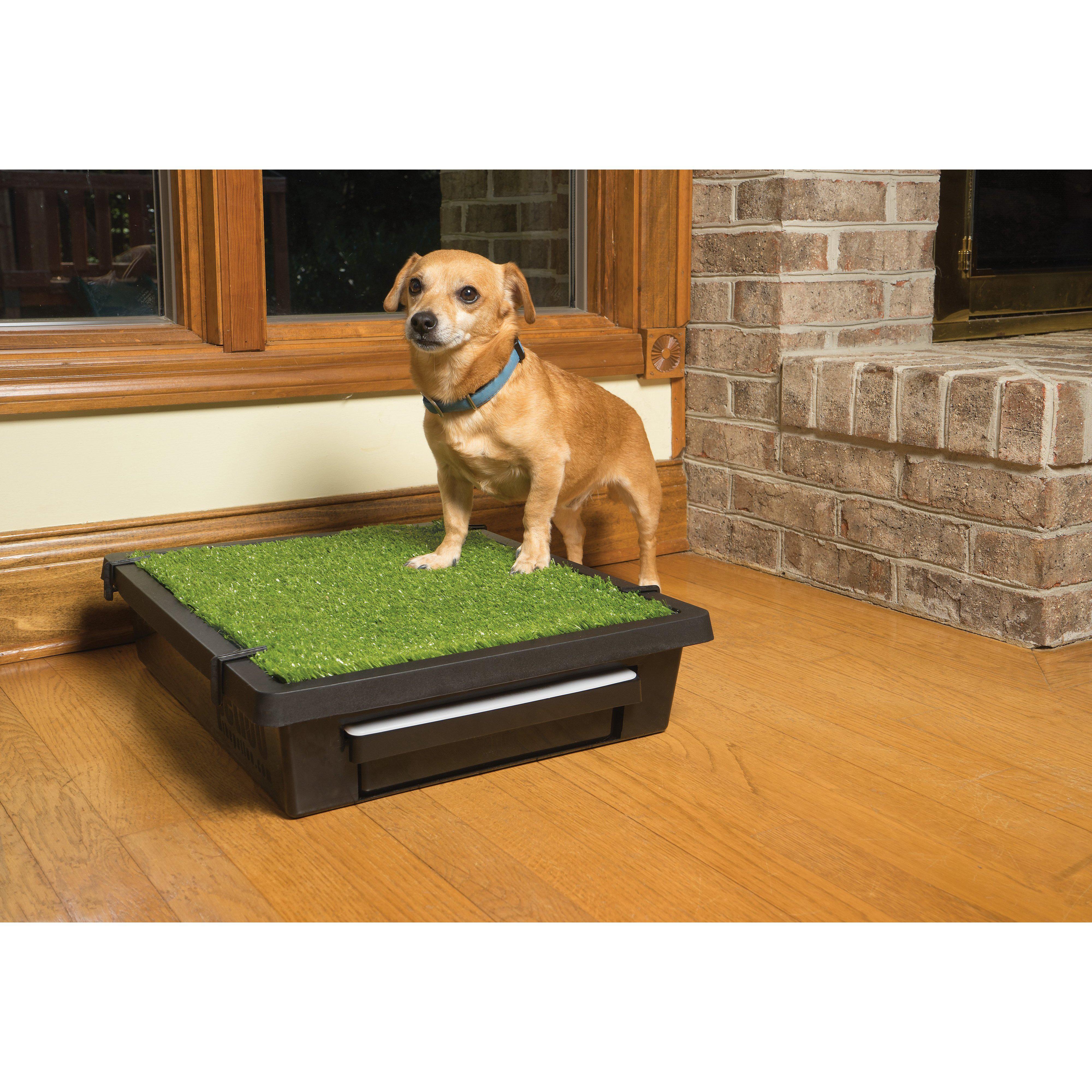 PetSafe The Pet Loo Small Portable Toilet for Dogs - Image 10