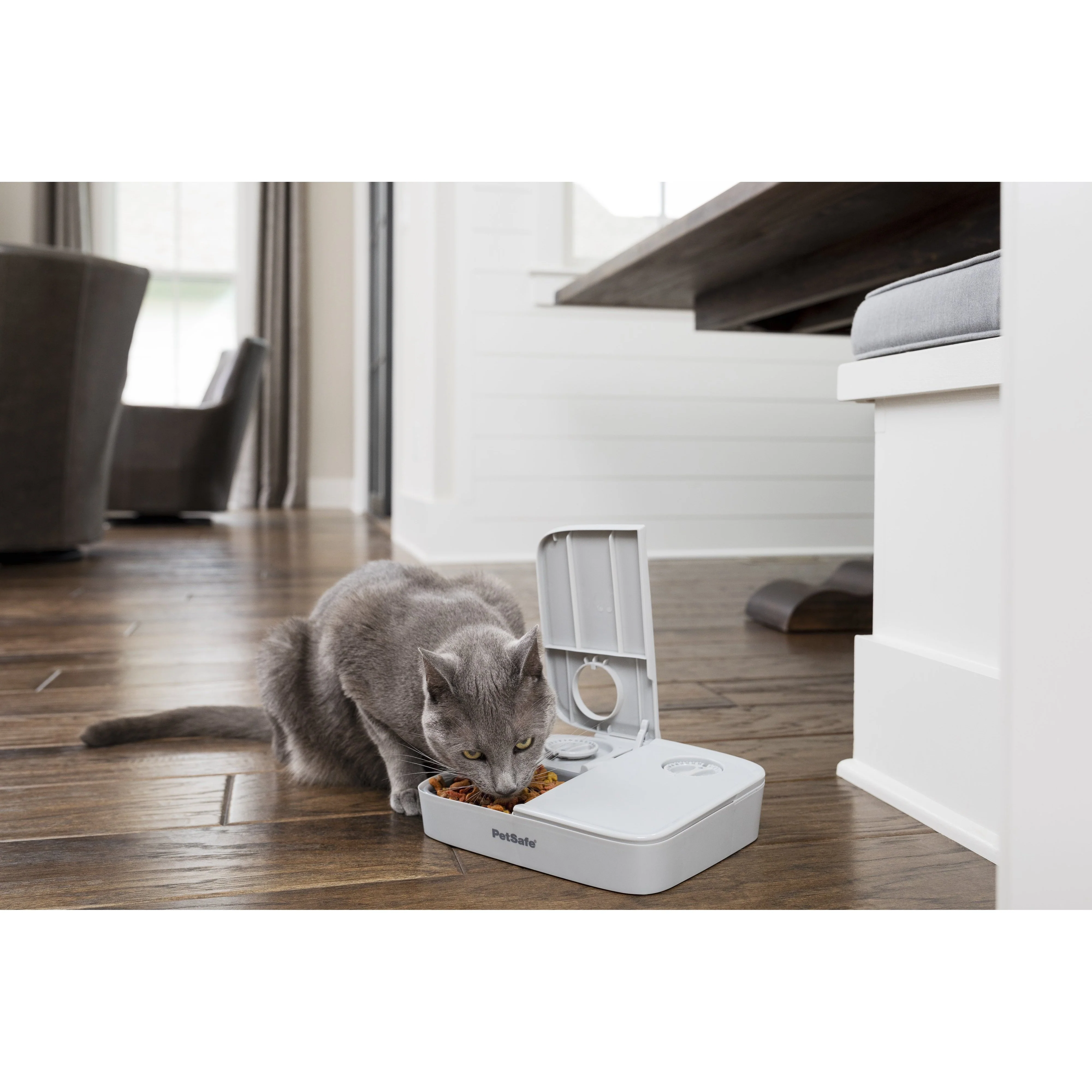 PetSafe Automatic Two Meal Pet Feeder for Dogs and Cats - Image 8