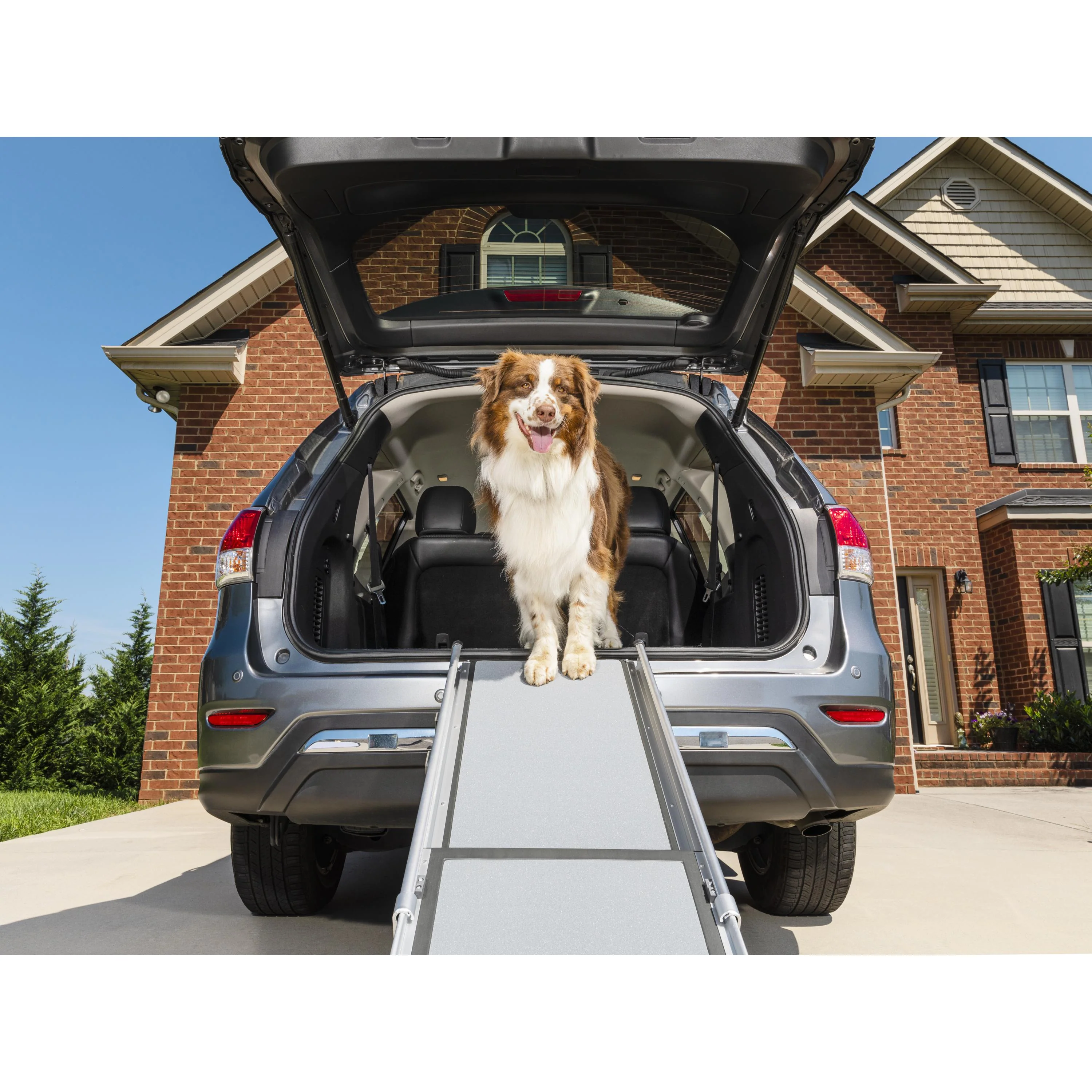 PetSafe Happy Ride Deluxe Telescoping Ramp - Image 2