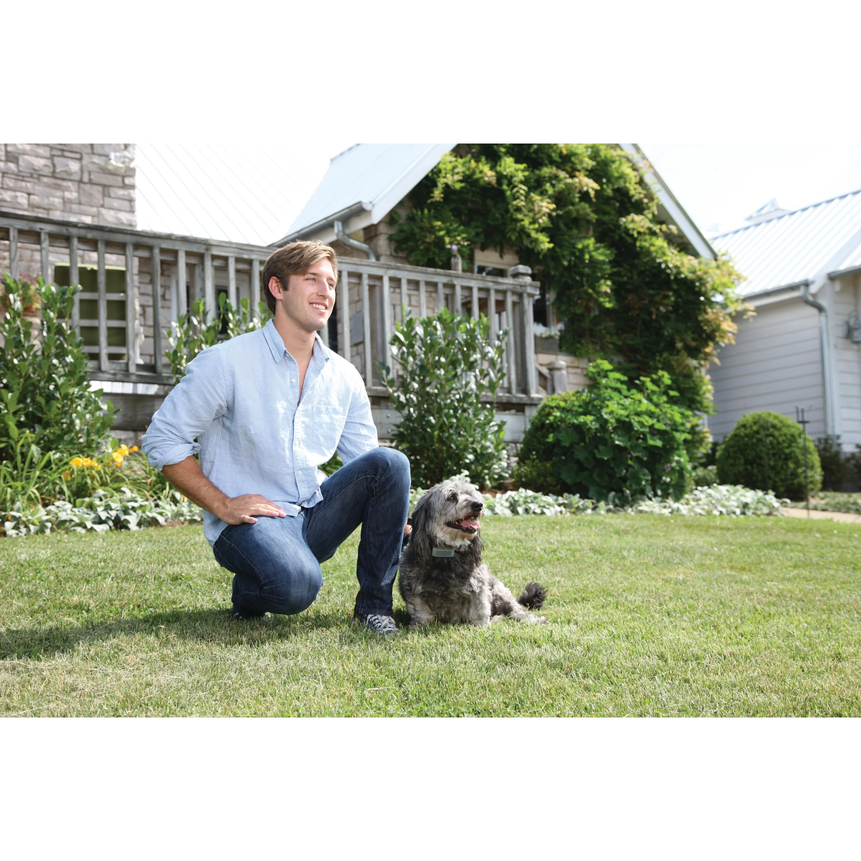 PetSafe Ultrasonic Bark Control Collar - Image 3