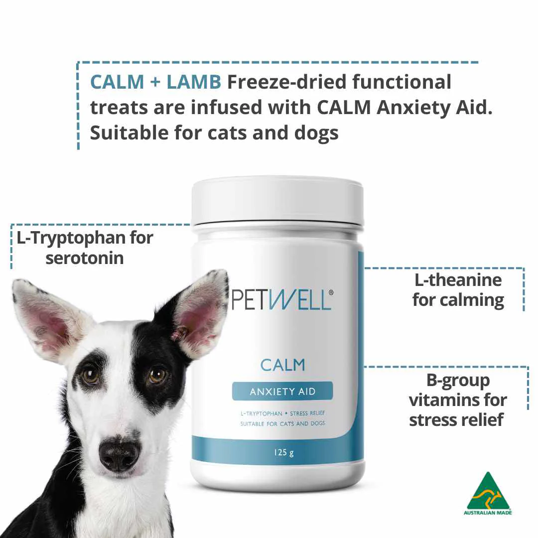 PetWell Calm Natural Anxiety Aid Supplement for Dogs and Cats 125g - Image 5