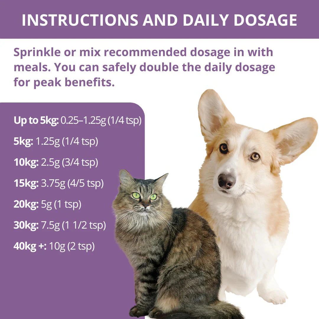PetWell Relief Allergy Skin and Coat Supplement for Dogs and Cats 125g - Image 4