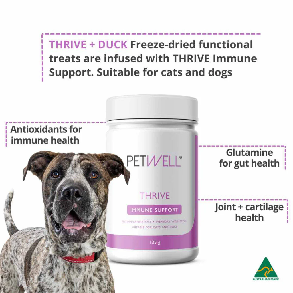 PetWell Thrive Immune Support Formula for Dogs and Cats 125g - Image 5