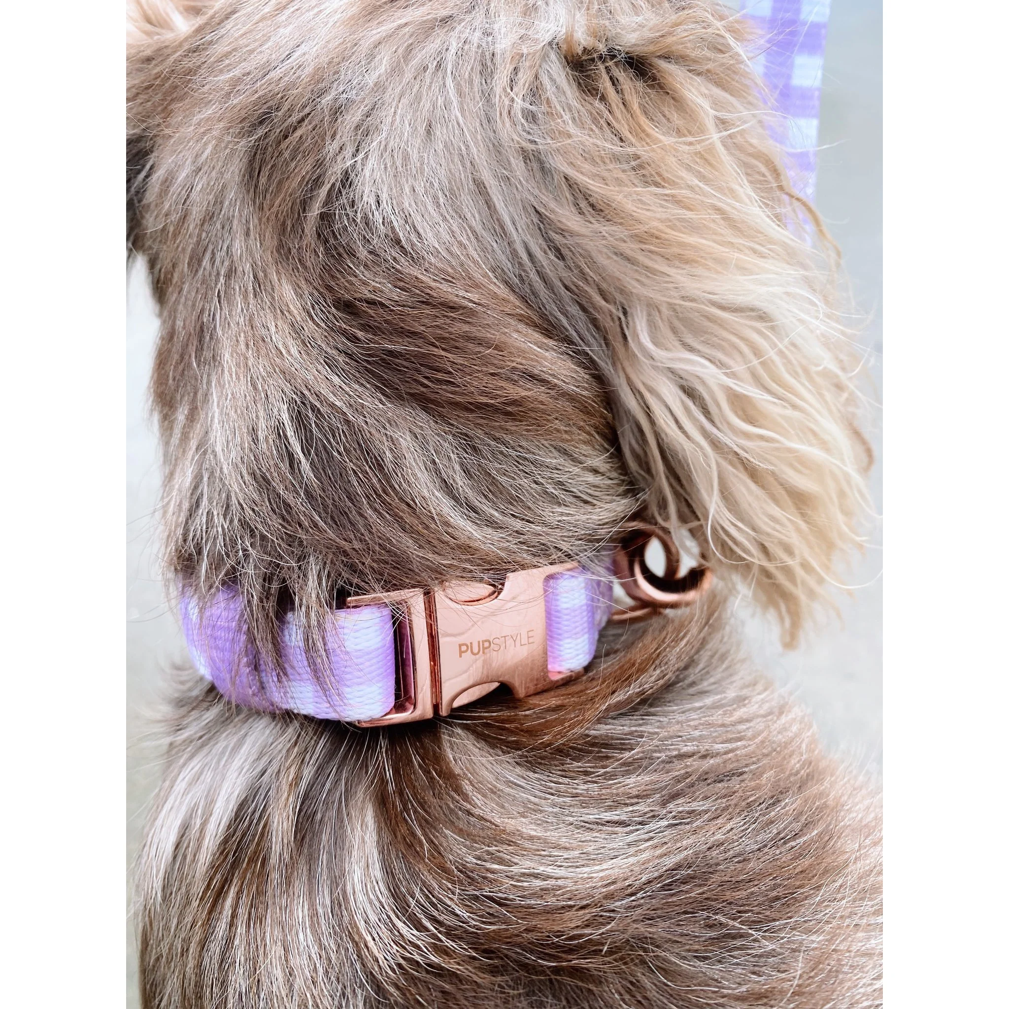 Pupstyle Suburban Berry Milkshake Dog Collar Small - Image 3