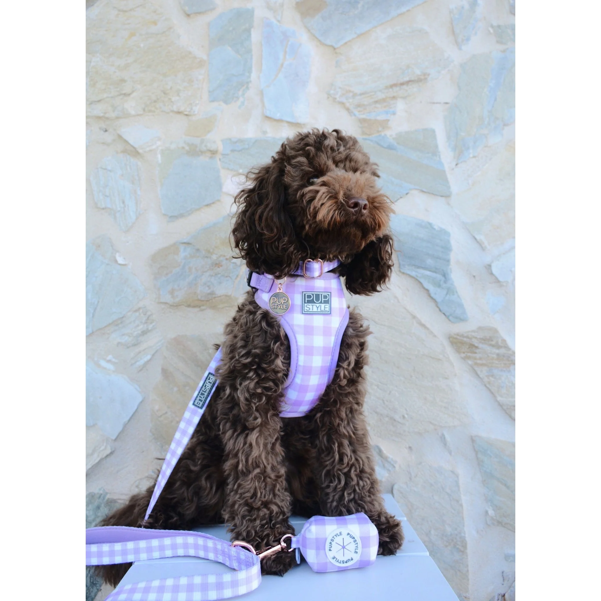 Pupstyle Suburban Berry Milkshake Dog Harness Extra Small - Image 4