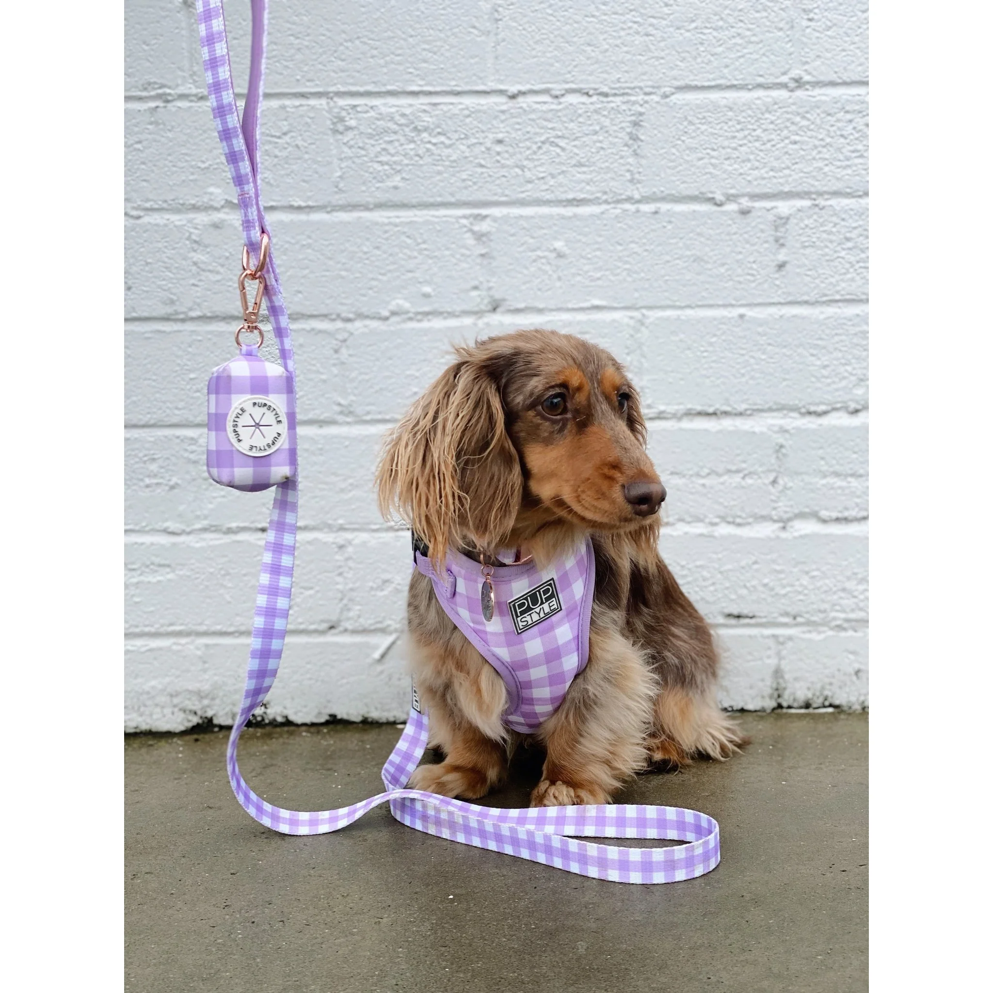 Pupstyle Suburban Berry Milkshake Dog Lead - Image 5