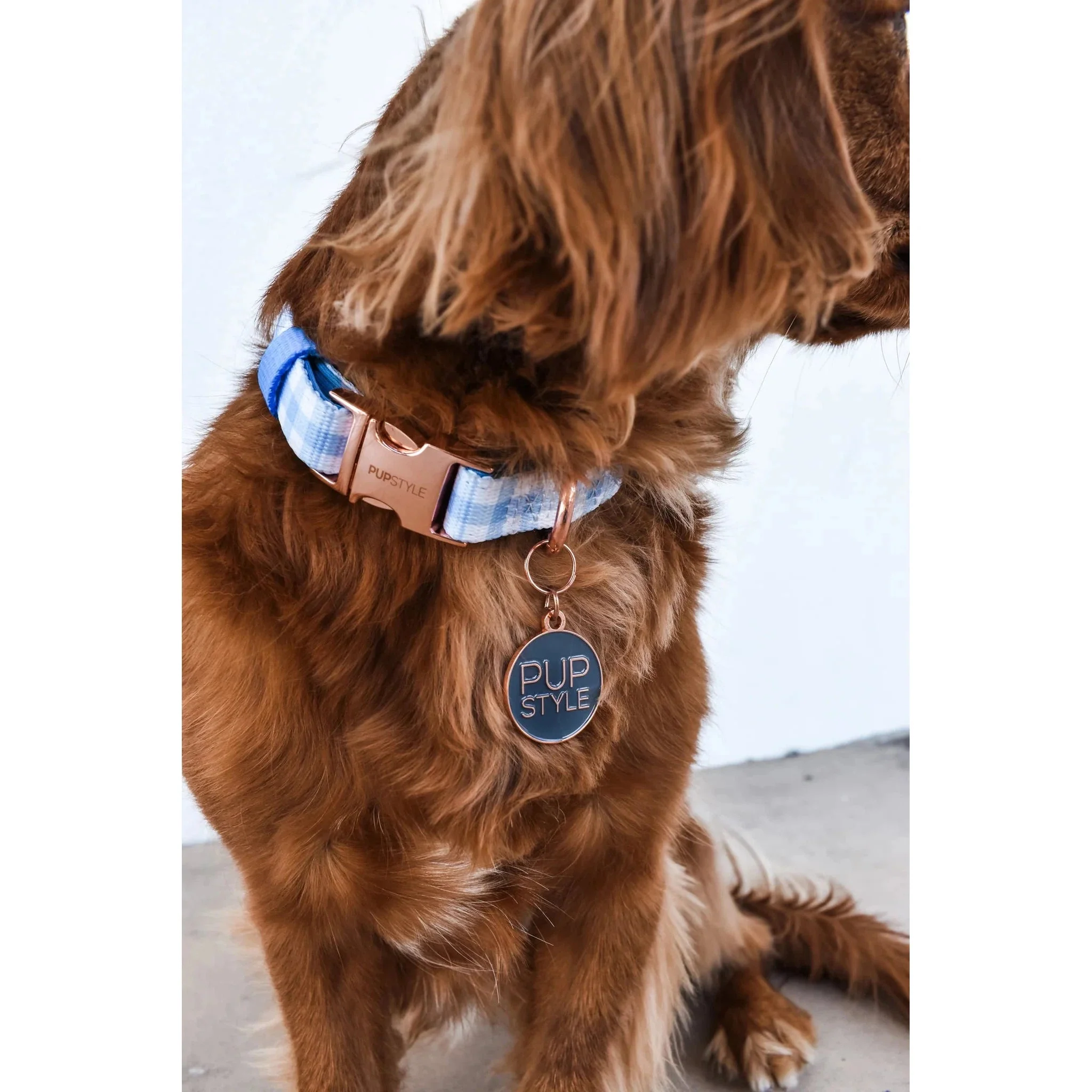 Pupstyle Suburban Collection Blueberry Muffin Dog Collar Extra Small - Image 3