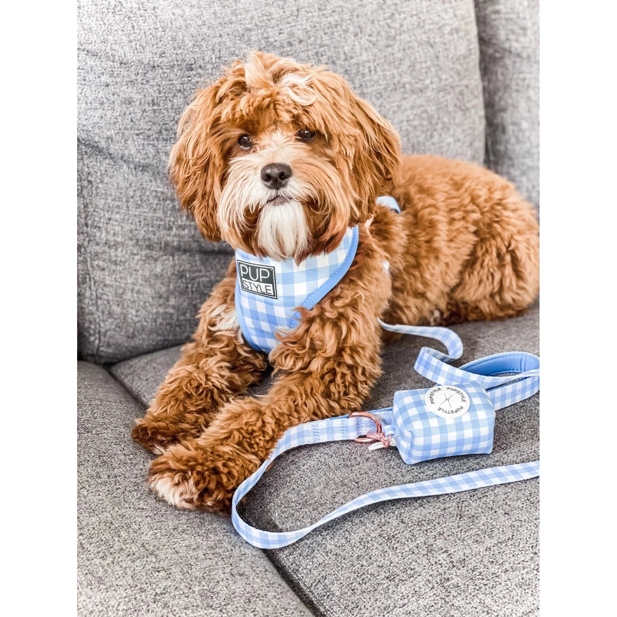 Pupstyle Suburban Collection Blueberry Muffin Dog Harness Small - Image 4