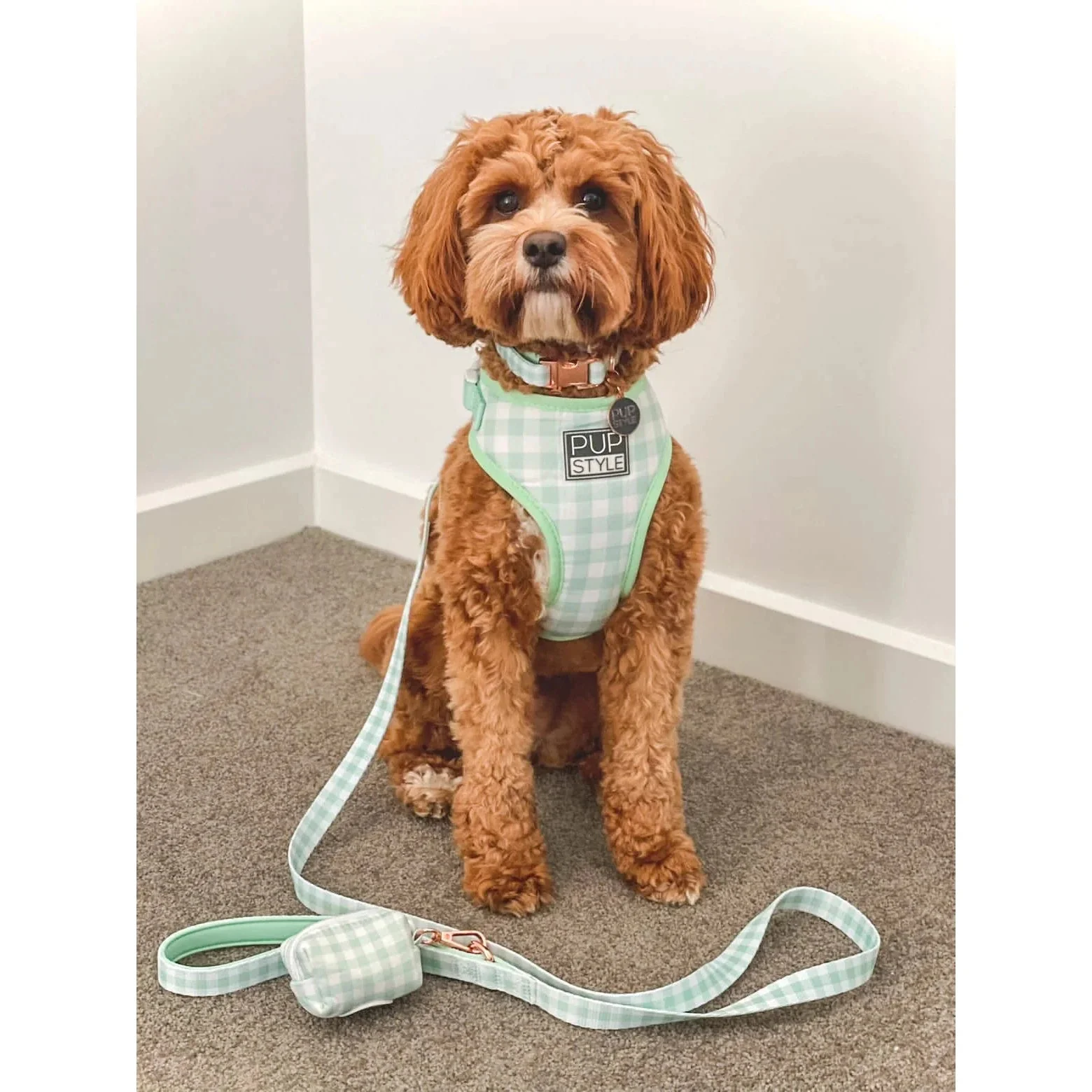 Pupstyle Suburban Collection Sweet Apple Dog Harness Medium - Image 7