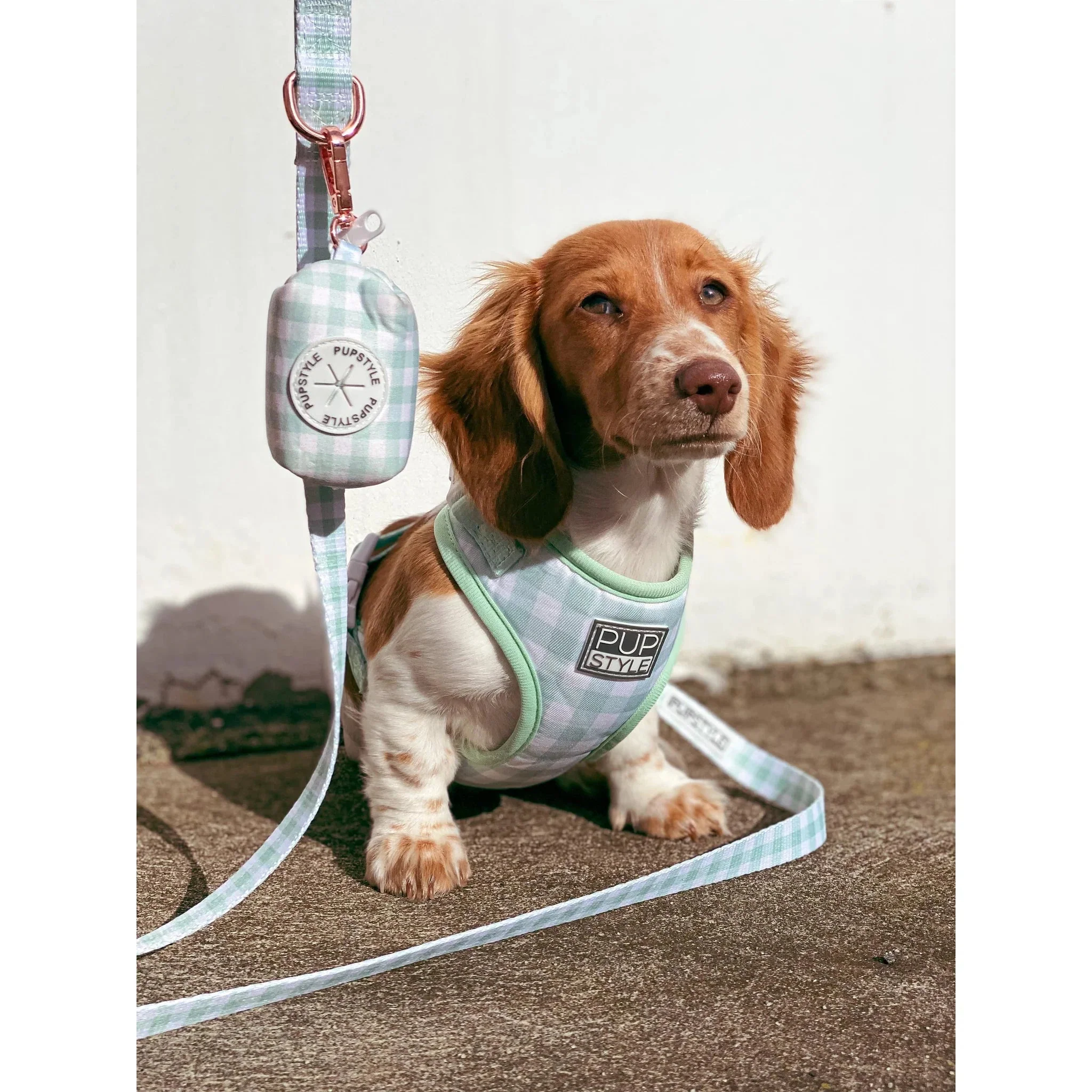 Pupstyle Suburban Collection Sweet Apple Poo Bag Holder - Image 2