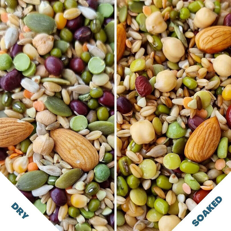 Raw for Birds Chunky Soaking Blend for Large Birds 1kg - Image 2