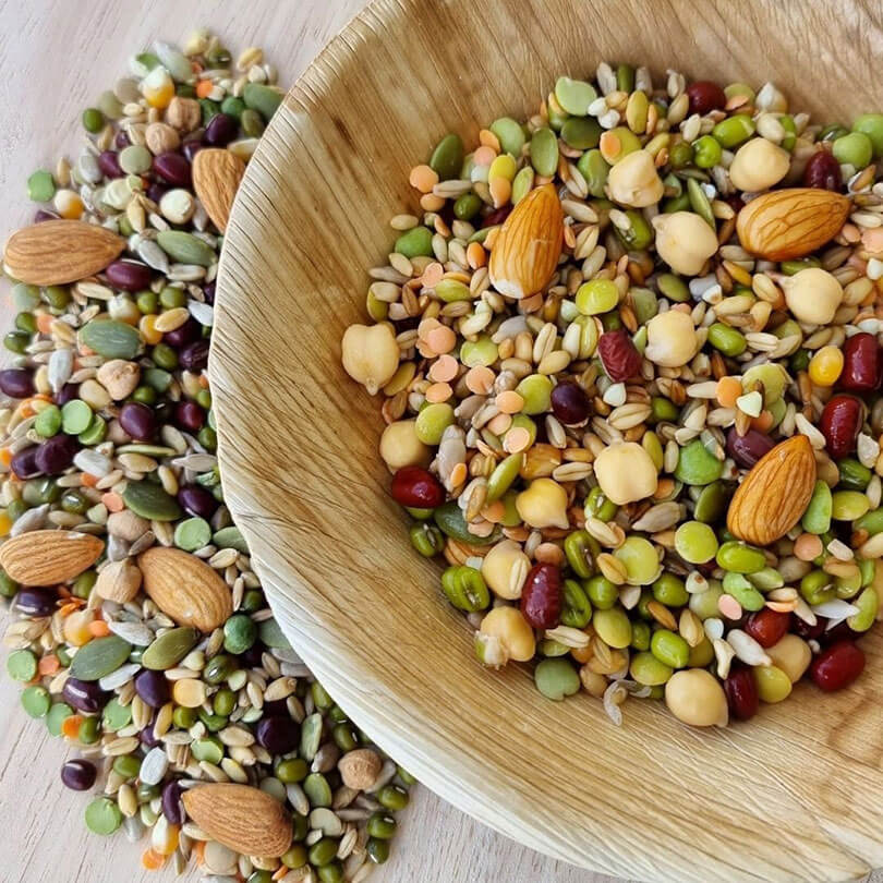 Raw for Birds Chunky Soaking Blend for Large Birds 500g - Image 3