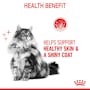 Royal Canin Cat Hair and Skin Care Gravy Adult Wet Food Pouches 85g x 12 - Image 3