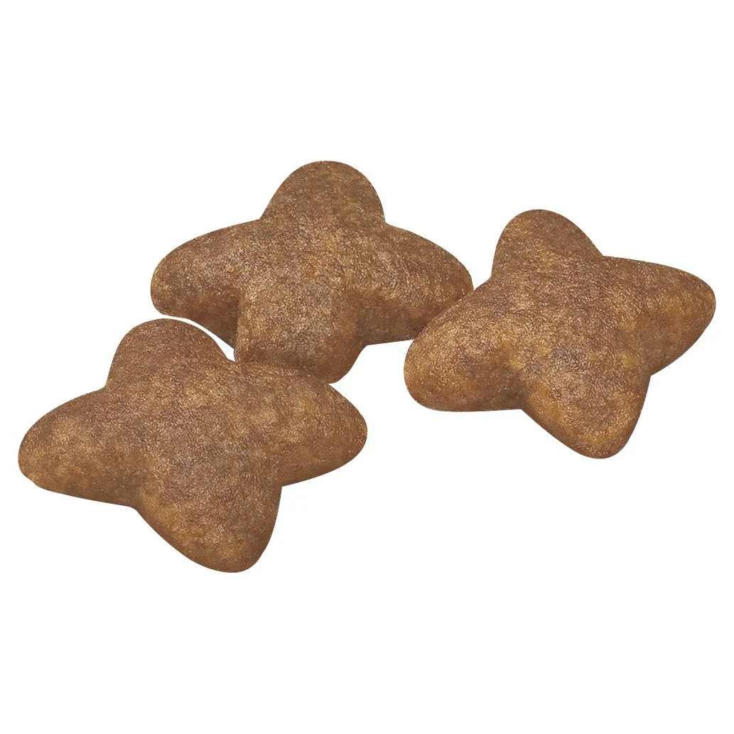 Royal Canin Dog Mini Adult Dry Food 2kg - Image 3