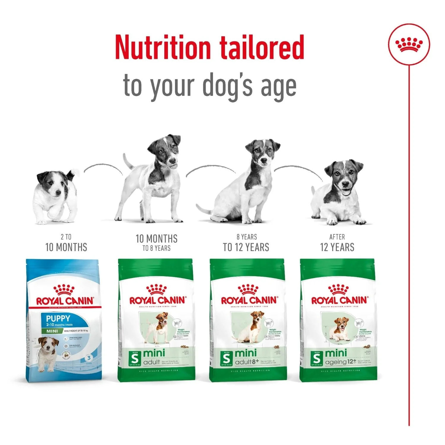 Royal Canin Dog Mini Adult Dry Food 2kg - Image 5