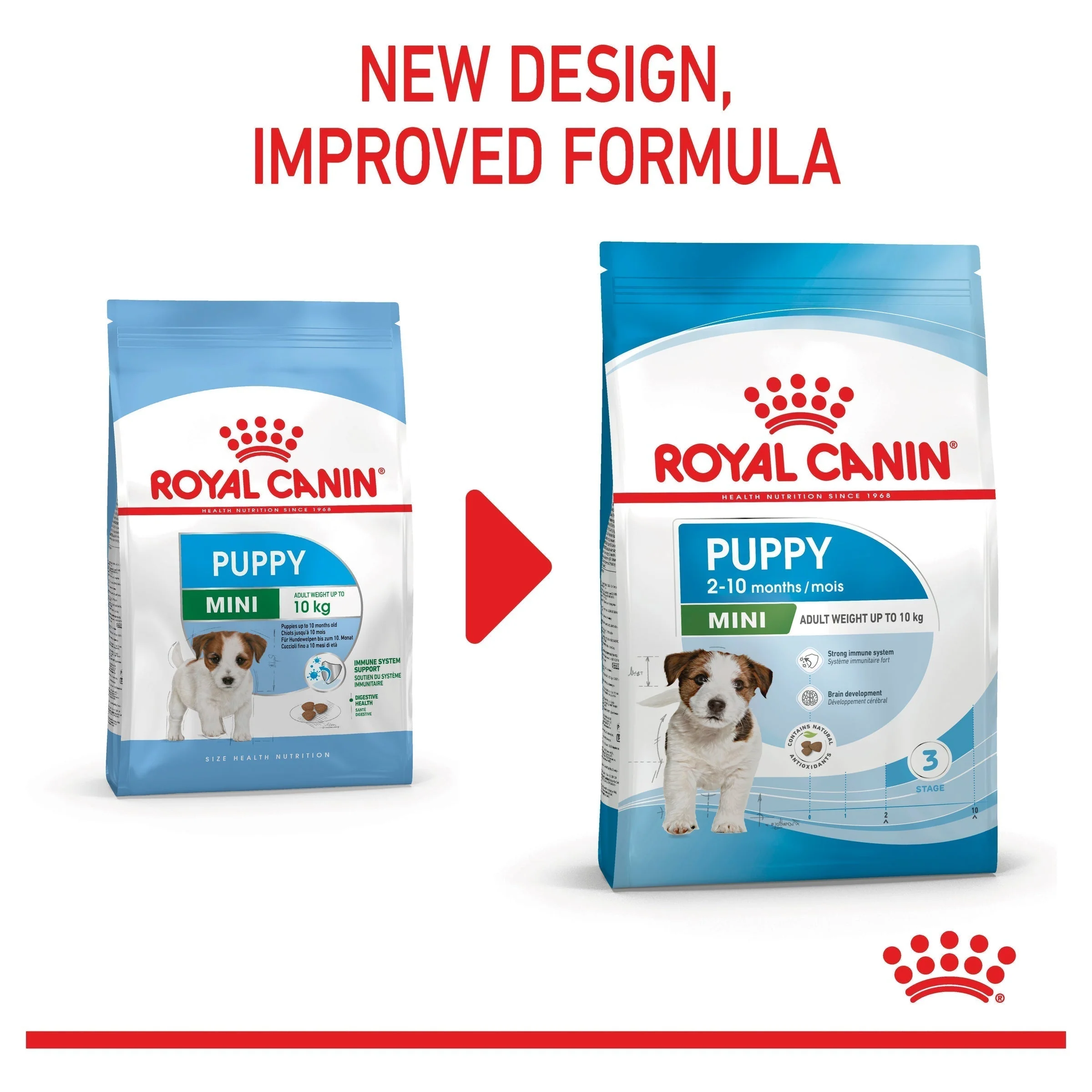 Royal Canin Dog Mini Puppy Dry Food 8kg - Image 5
