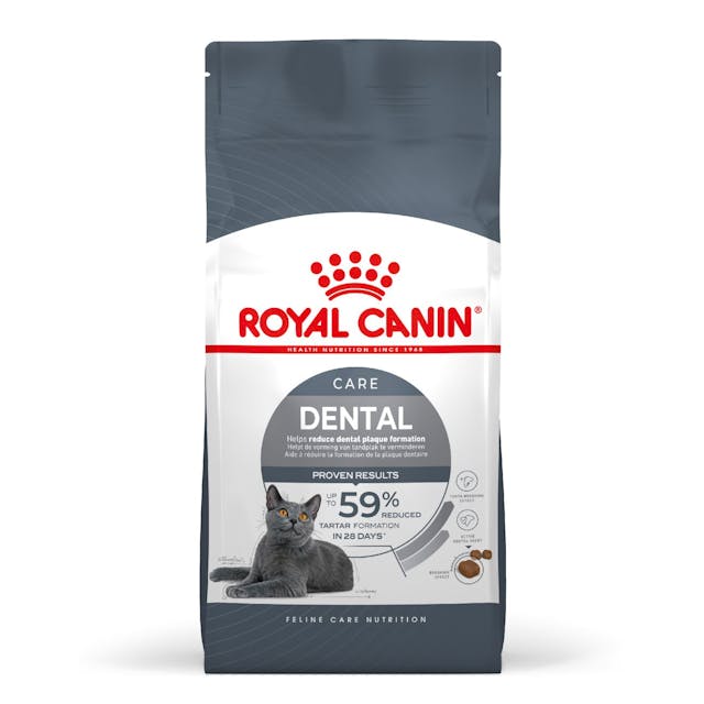 Royal Canin Cat Dental Care Adult Dry Food 8kg