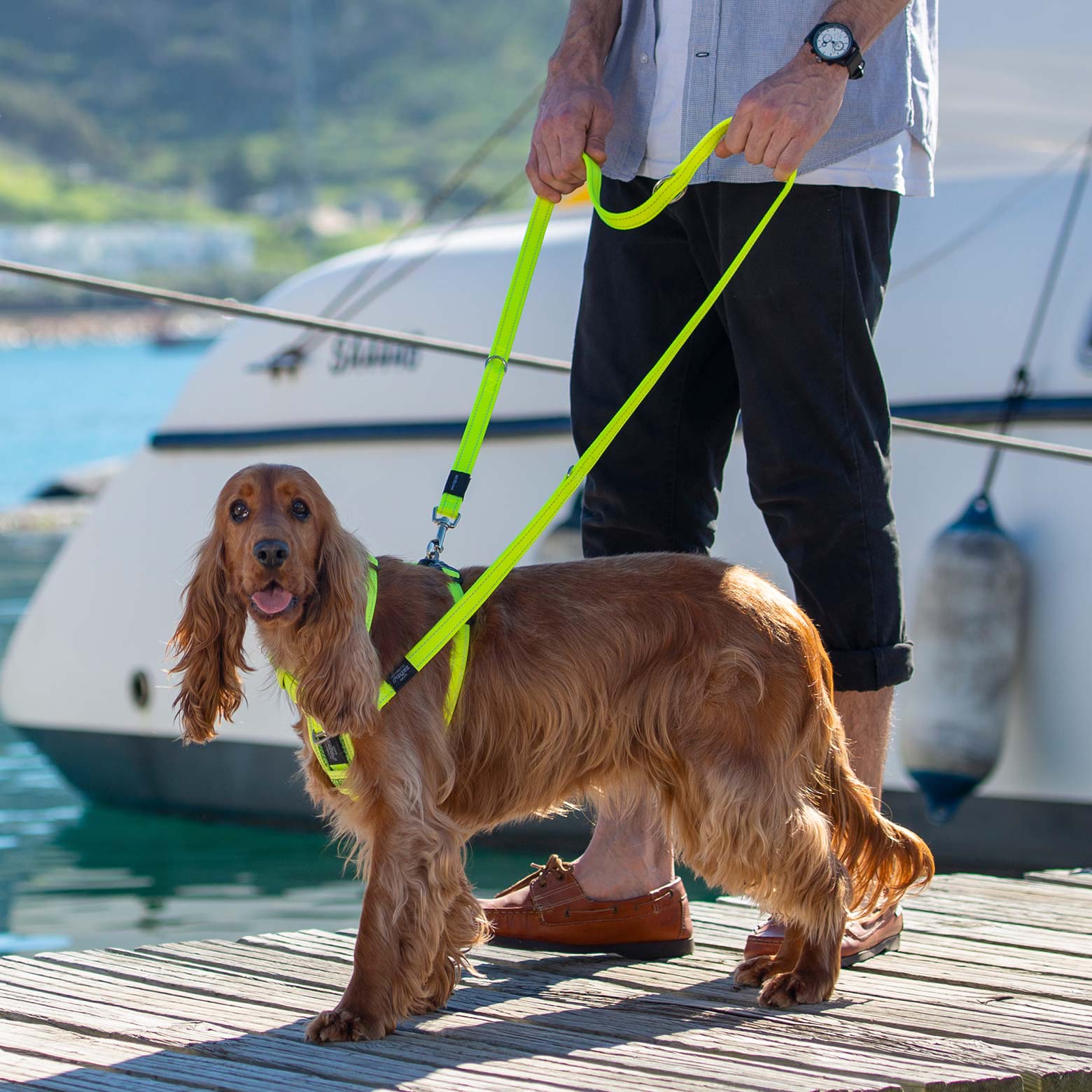 Rogz Control Dog Harness Red Extra Large - Image 3