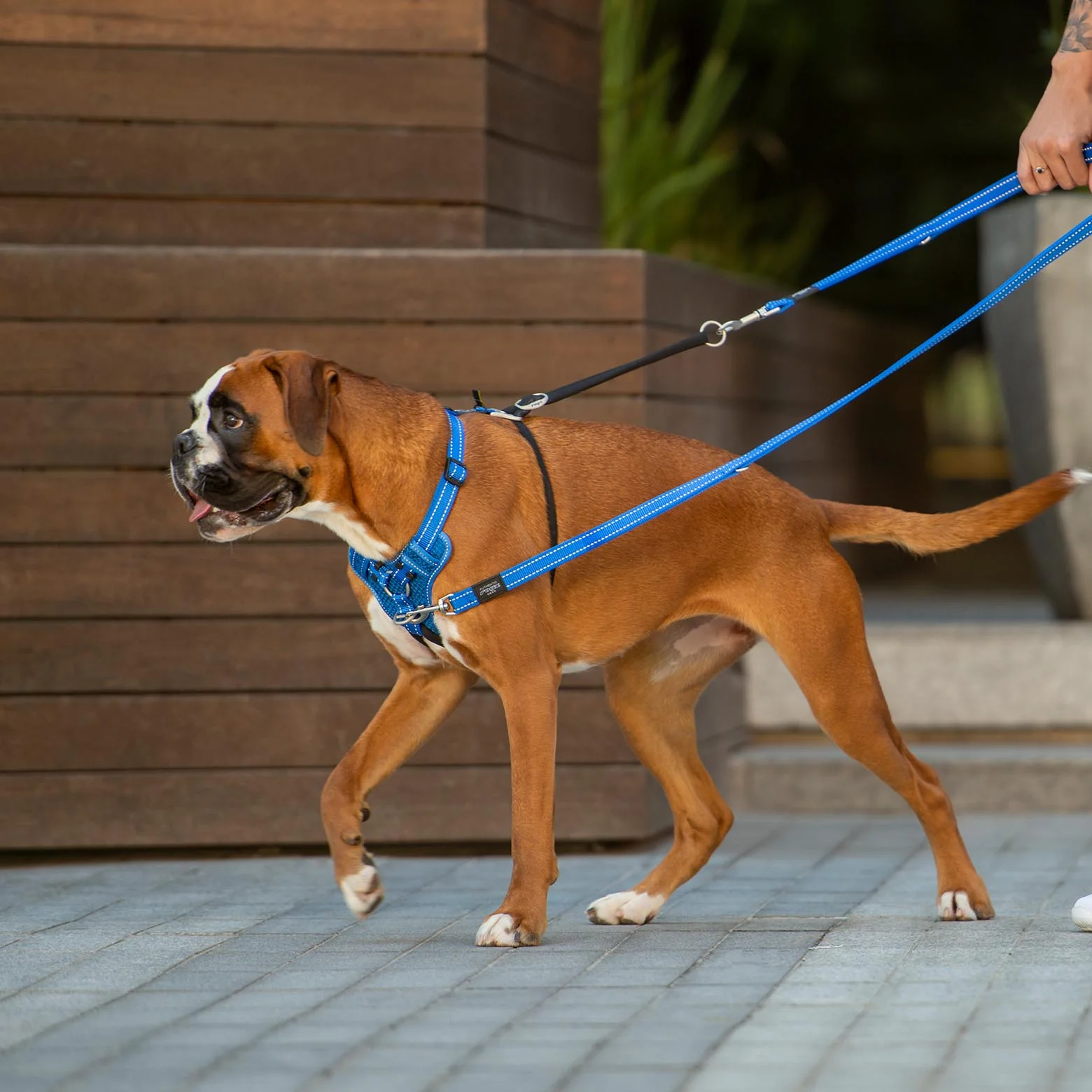 Rogz Control Stop Pull Dog Harness Pink Large - Image 8