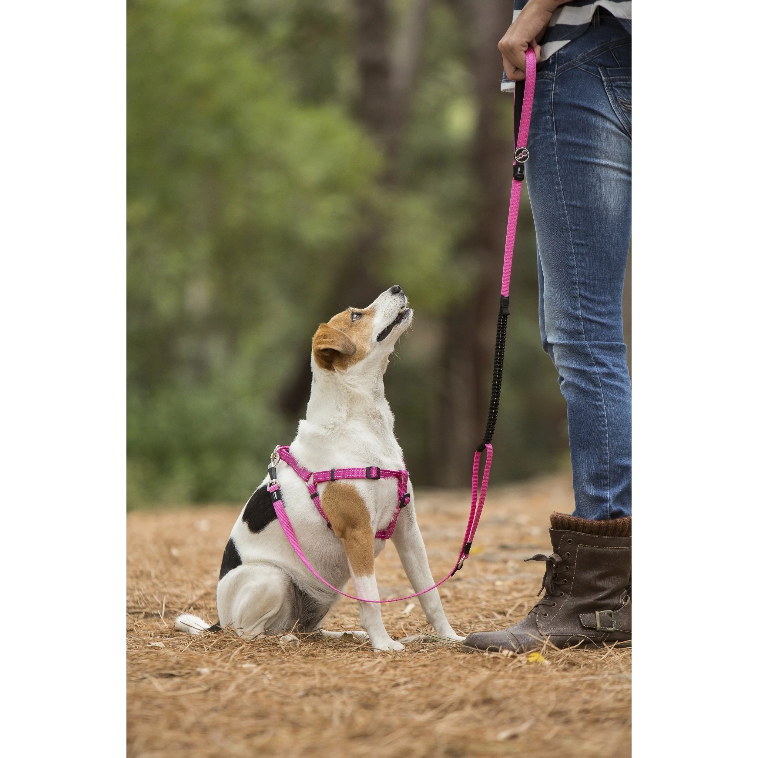 Rogz Classic Control Extra Large Long Dog Lead Pink - Image 2