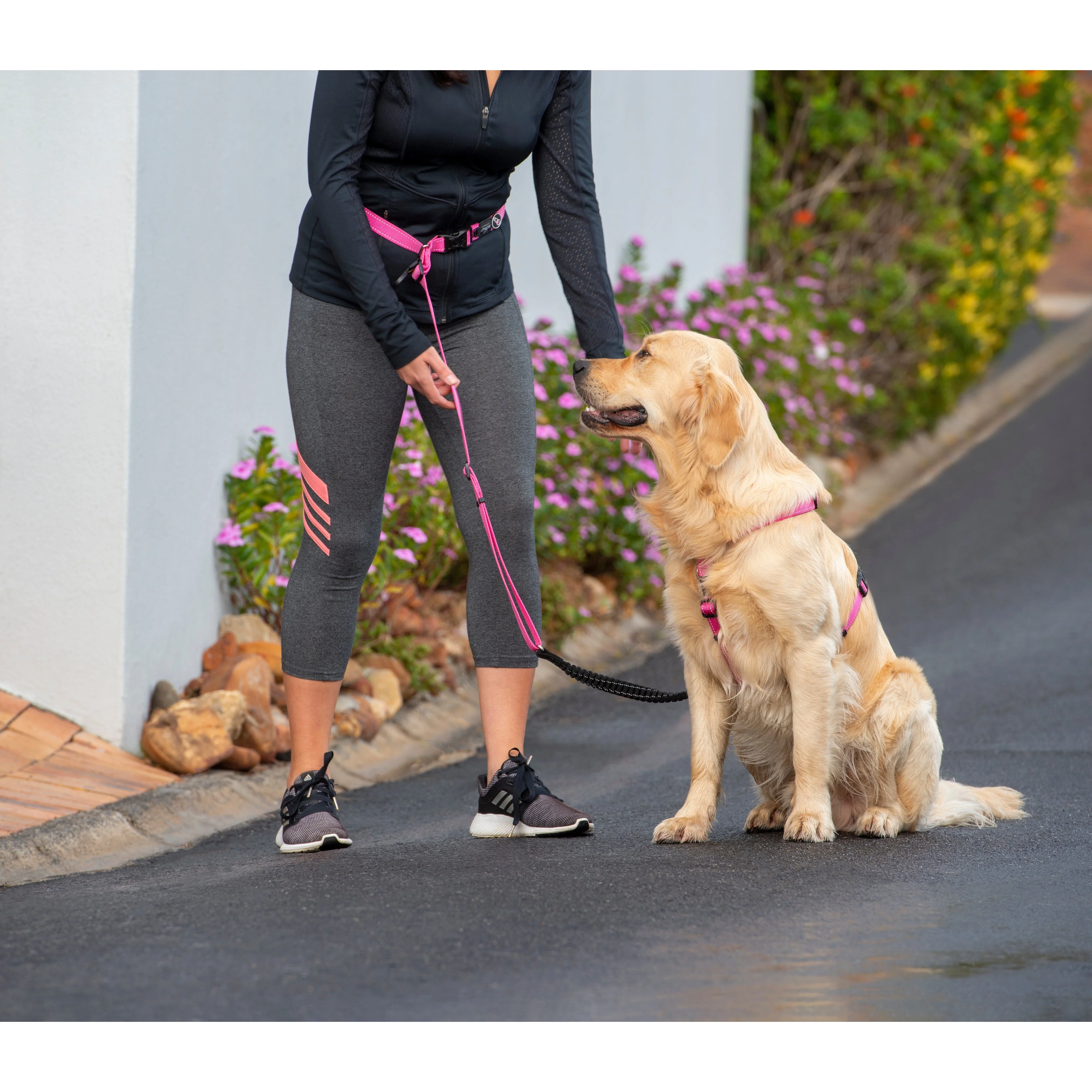 Rogz Specialty Handsfree Large Dog Lead Pink - Image 6