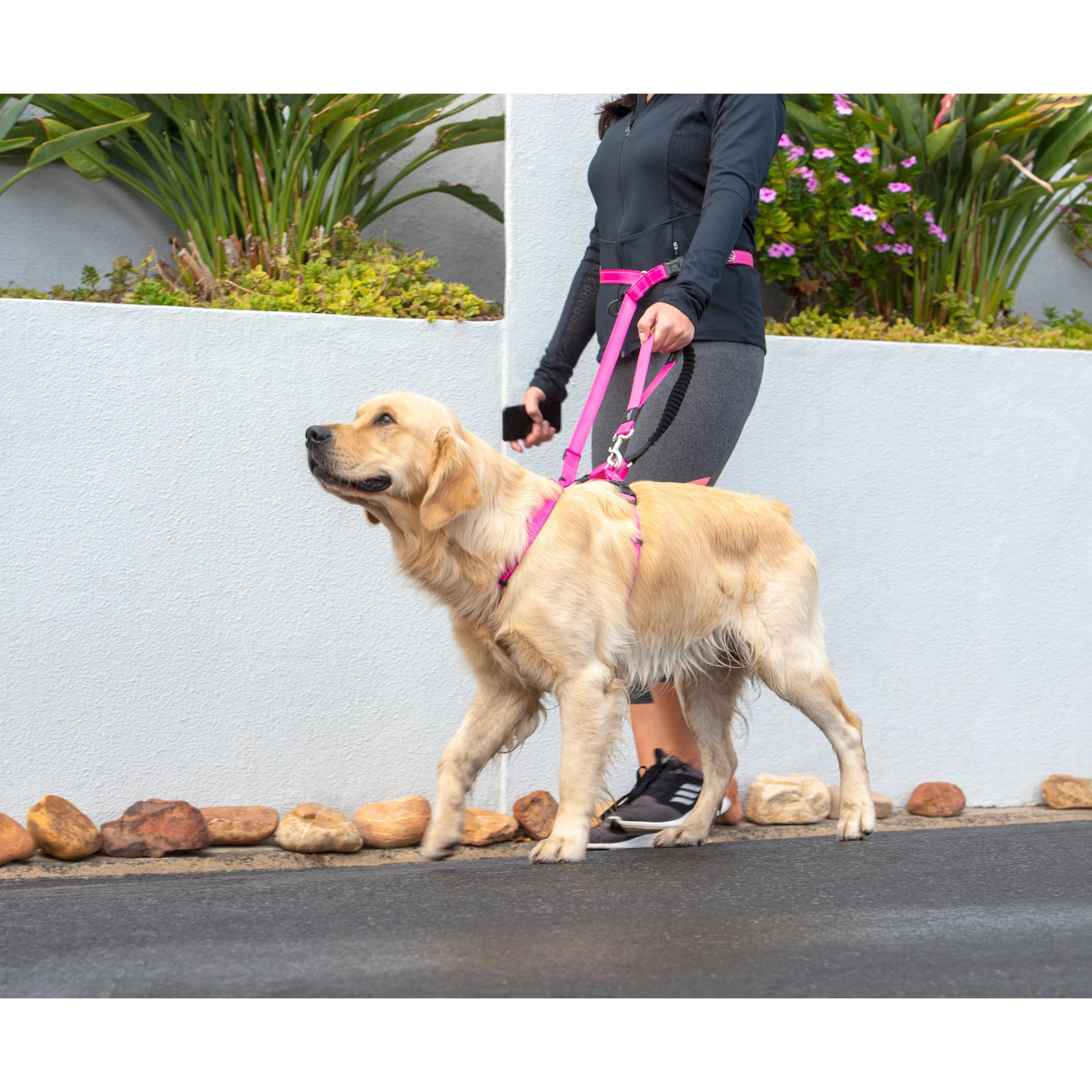 Rogz Specialty Handsfree Medium Dog Lead Pink - Image 5