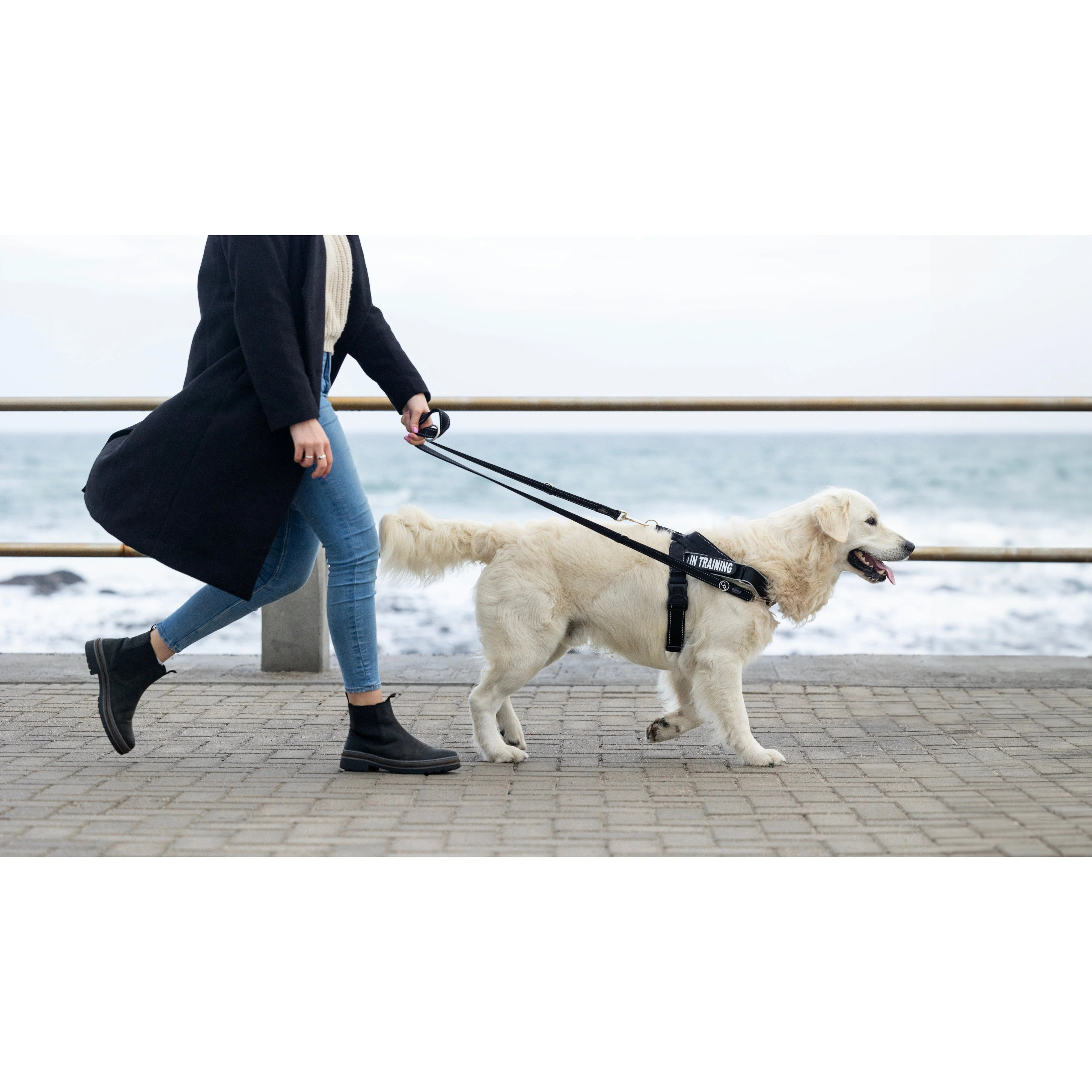 Rogz Utility LetzGo Personalisable Harness Black Med - Image 4