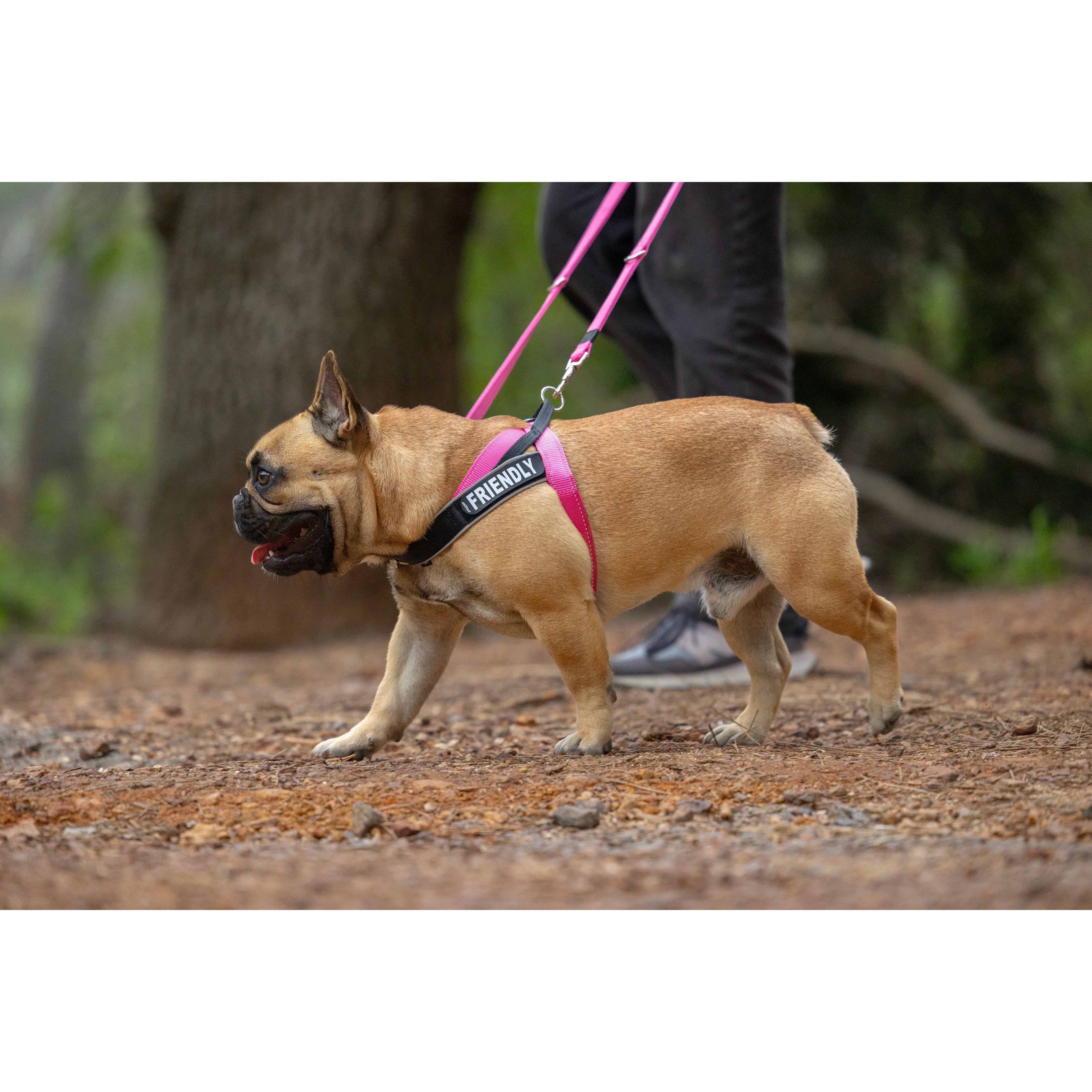 Rogz Utility LetzGo Personalisable Harness Pink Lge - Image 2