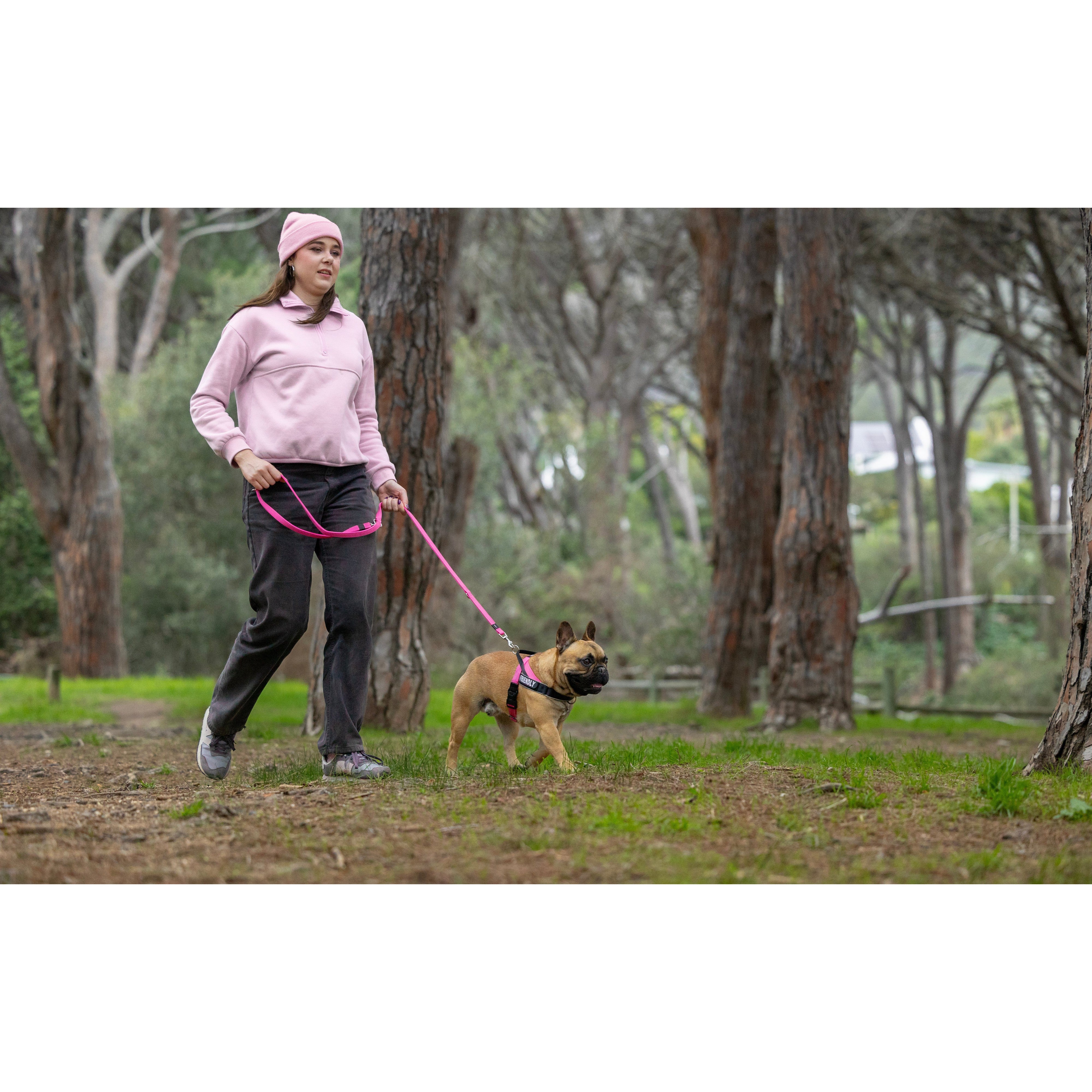 Rogz Utility LetzGo Personalisable Harness Pink Lge - Image 3