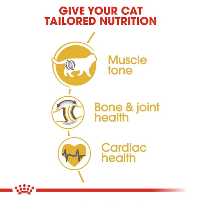 Royal Canin Cat British Shorthair Adult Dry Food 2kg - Image 4