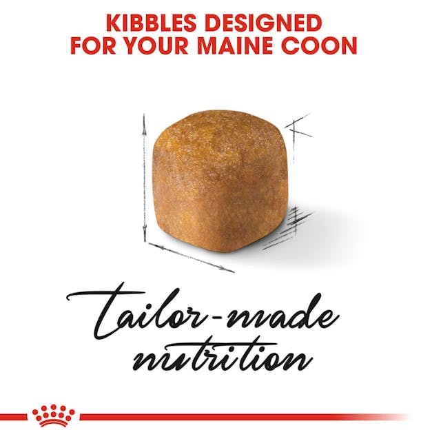 Royal Canin Maine Coon Kitten Dry Food 2kg - Image 2