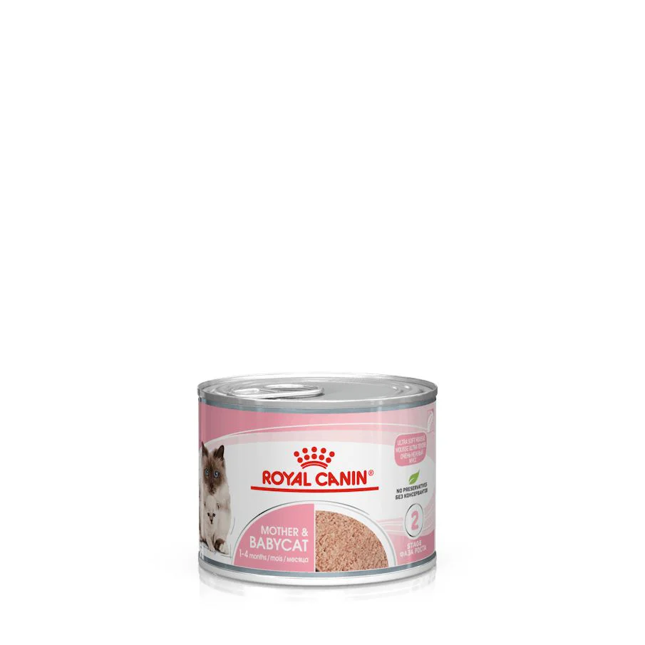 Royal Canin Cat Mother and Babycat with Mousse Wet Food Can 195g