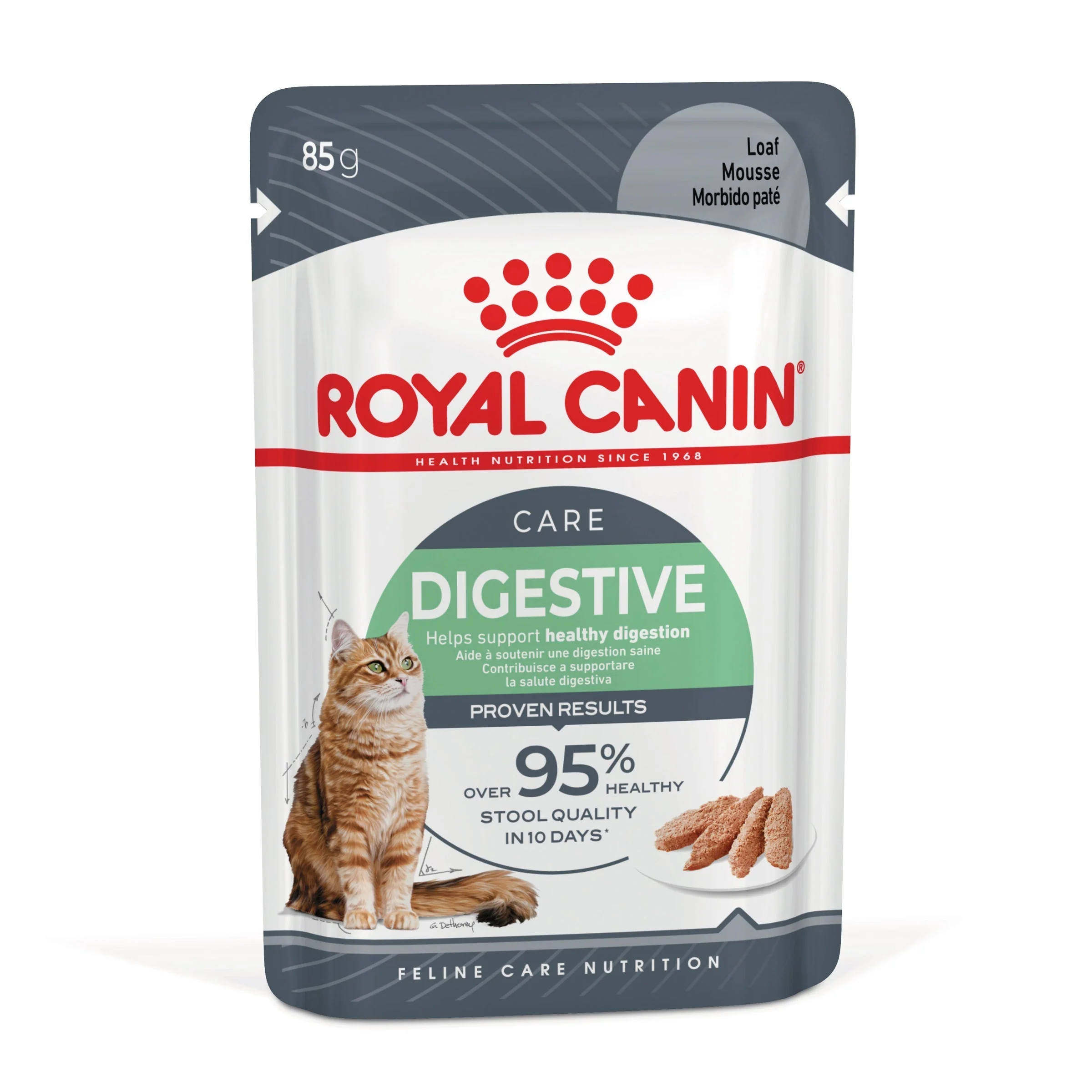 Royal Canin Digestive Care Loaf Wet Food Pouch 85g x12 - Image 2