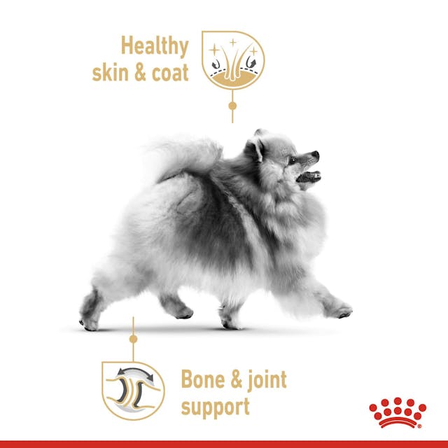 Royal Canin Dog Pomeranian Adult Wet Food Pouch 85g x 12 - Image 6